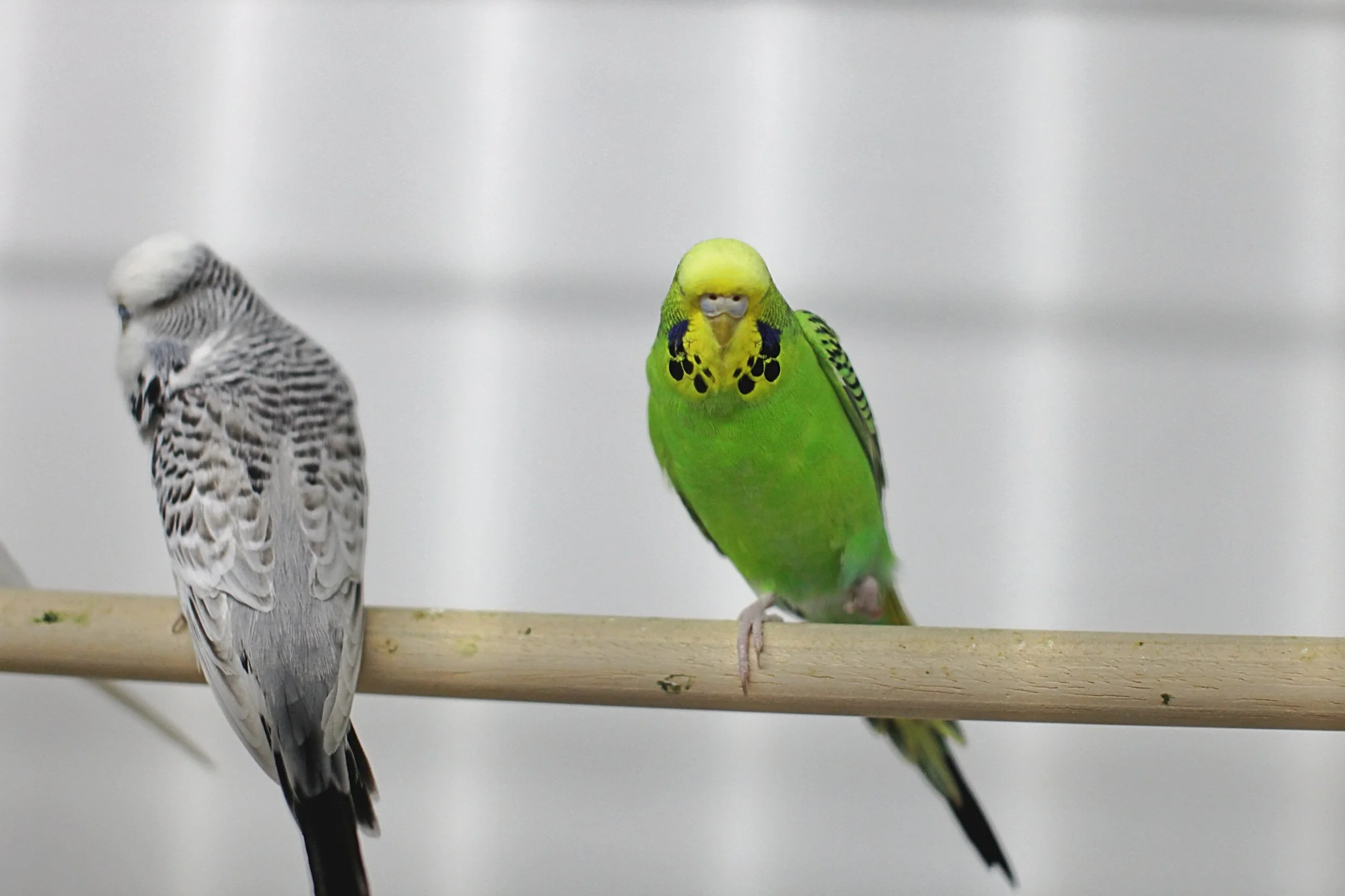 20251117 133352 IMG_0059.JPG