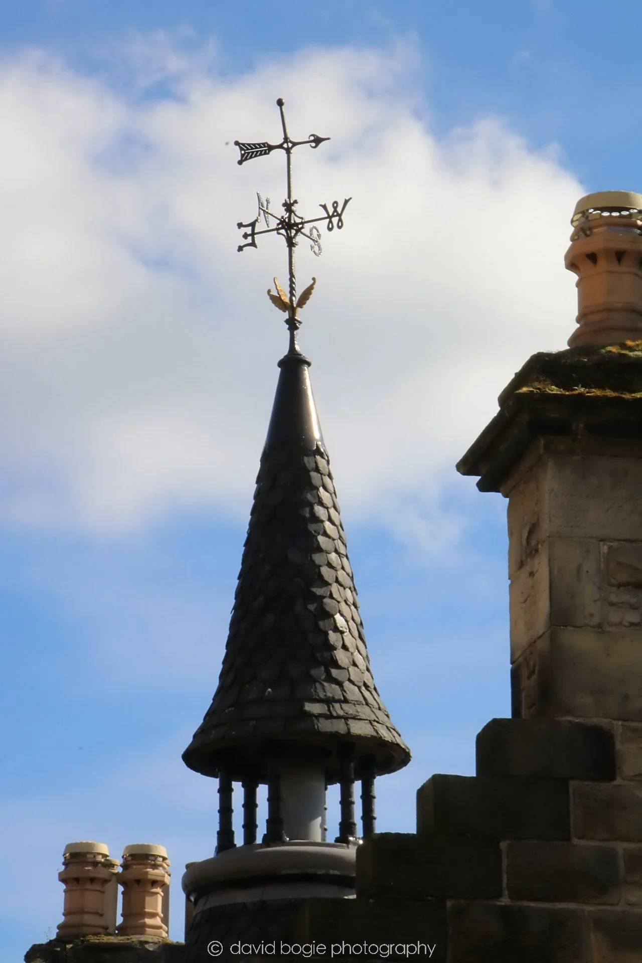 YEAR20240318 KIRKCALDY 0075.jpg