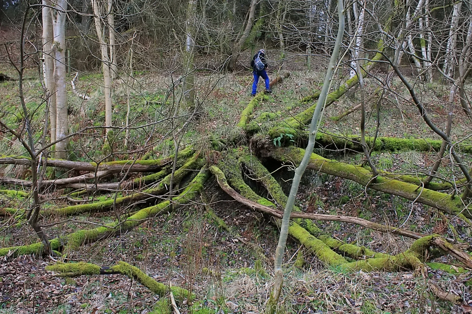 20190219 112819 Glenfarg 0010.jpg