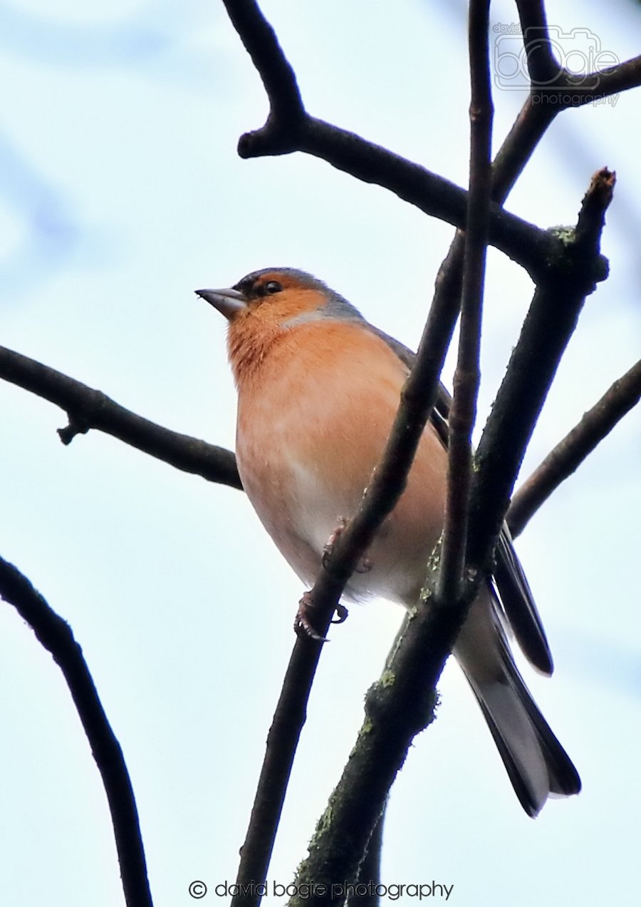 20260306 091519 Dunnikier 0099.jpg