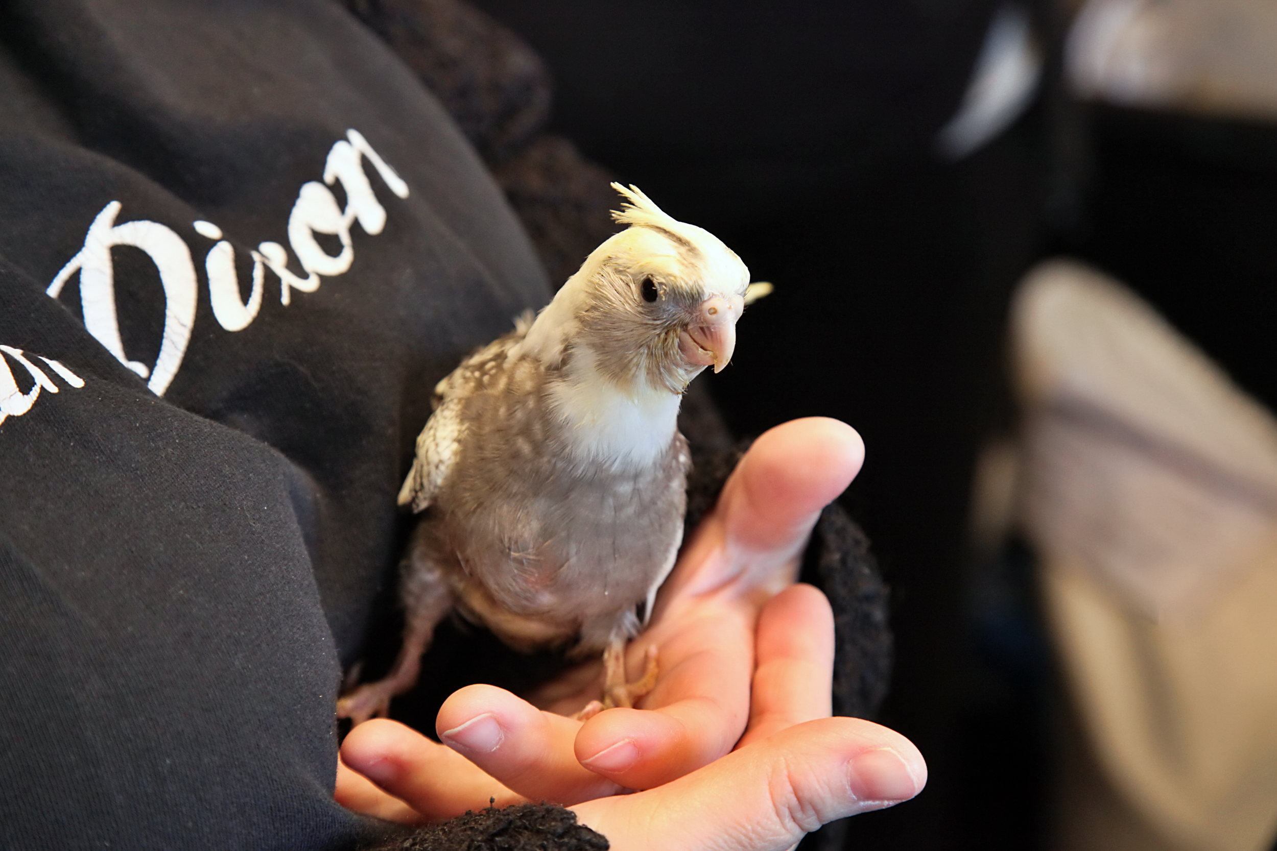 20260212 120324 K&S 0142.png