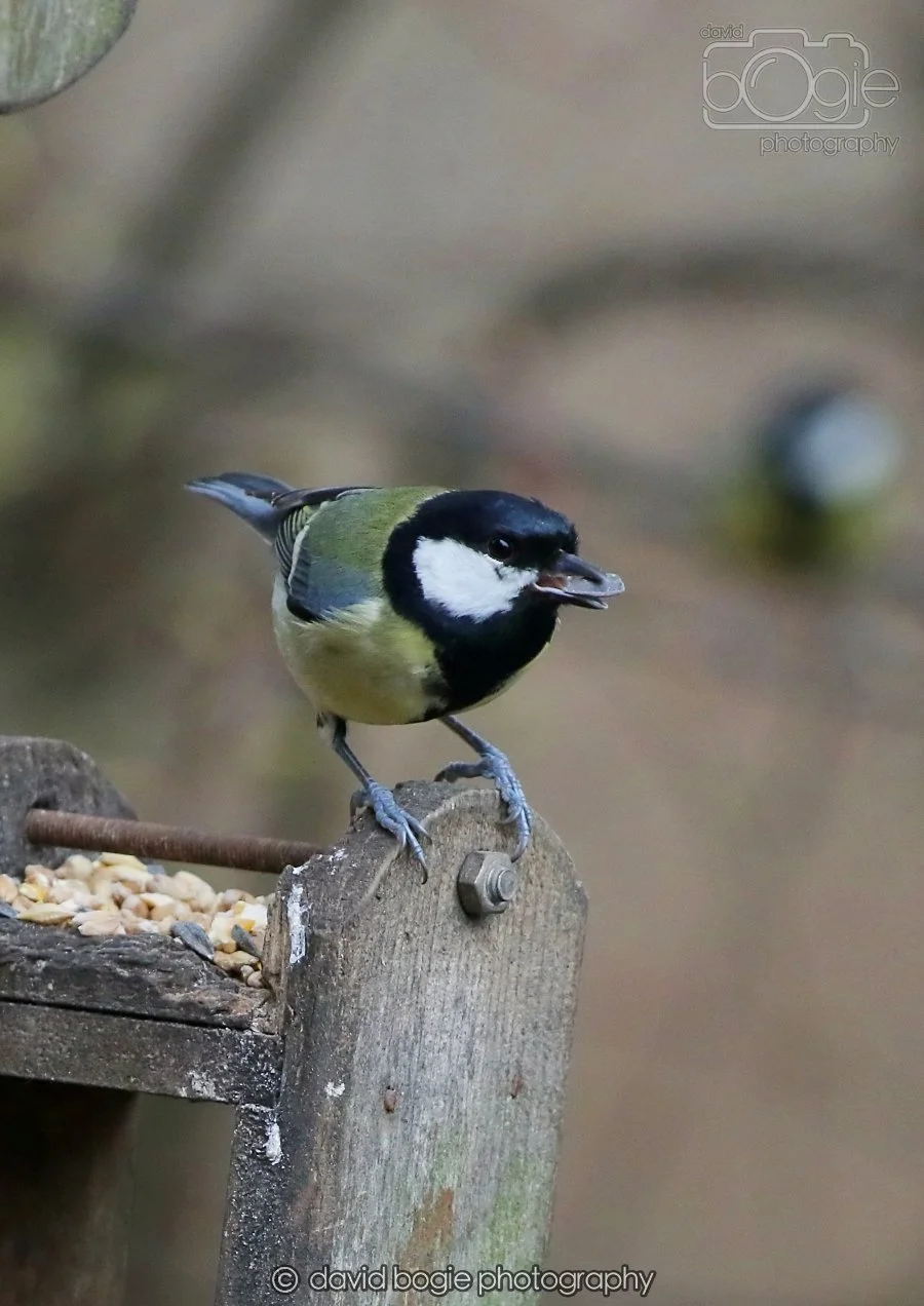 20260215 130300 Silverburn 0021.jpg