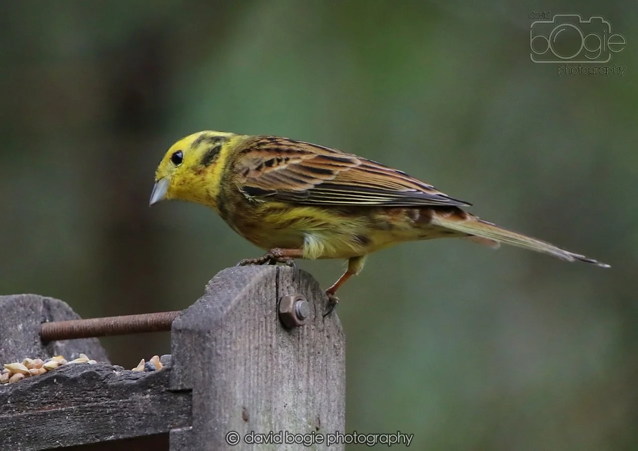 20260215 132222 Silverburn 0098.jpg