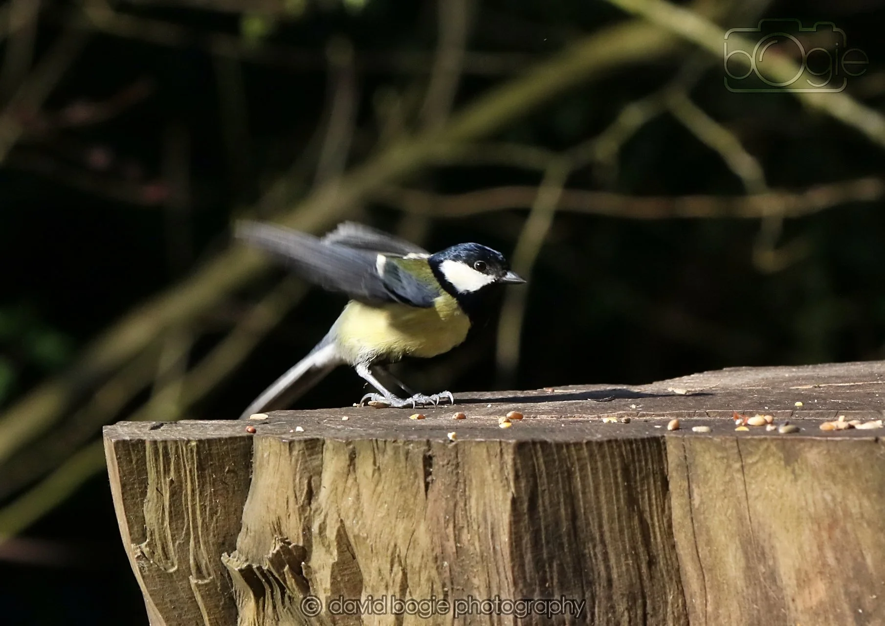 20260320 151619 Ravenscraig 0499.jpg