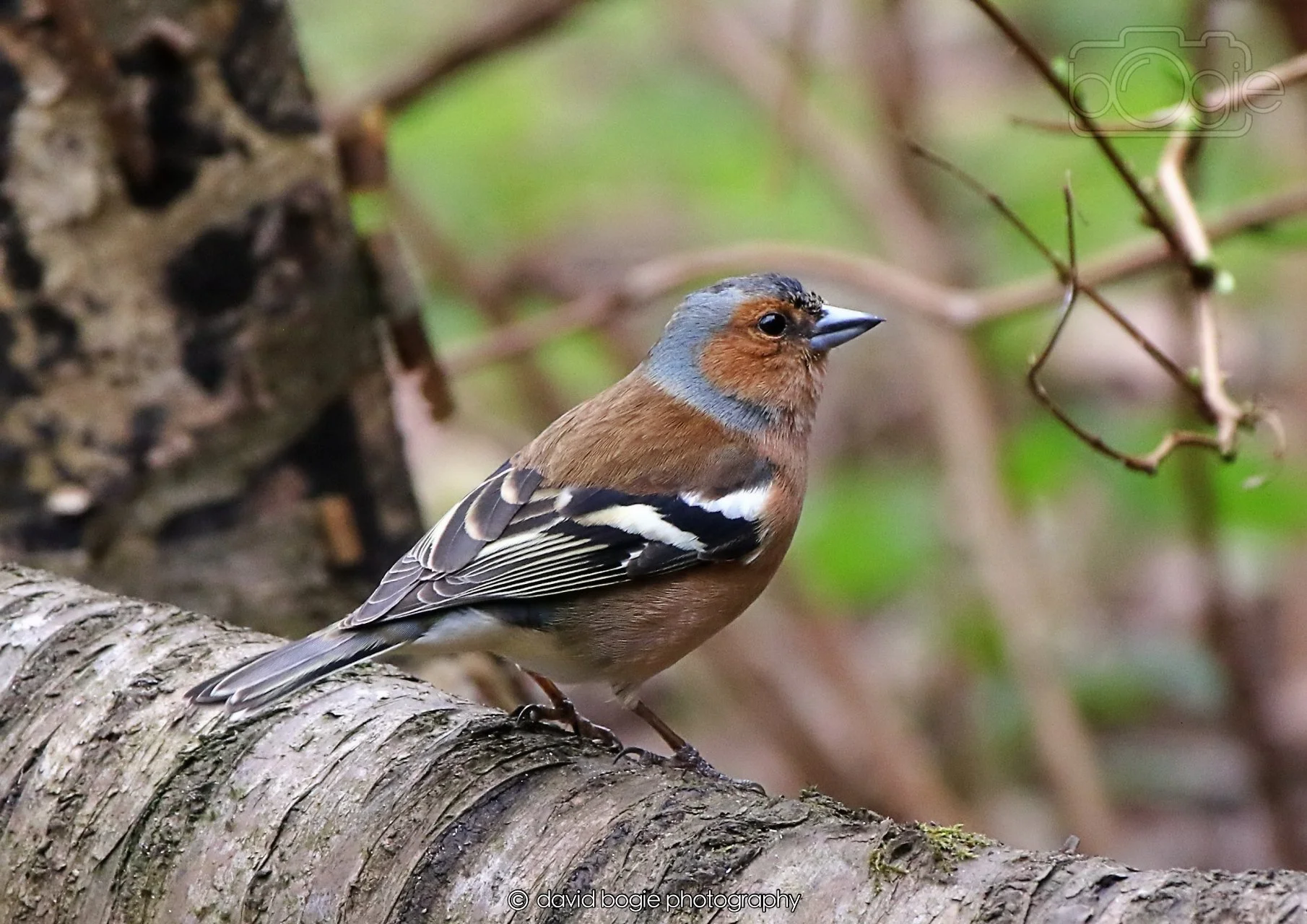 20260326 113057 Silverburn 0163.jpg