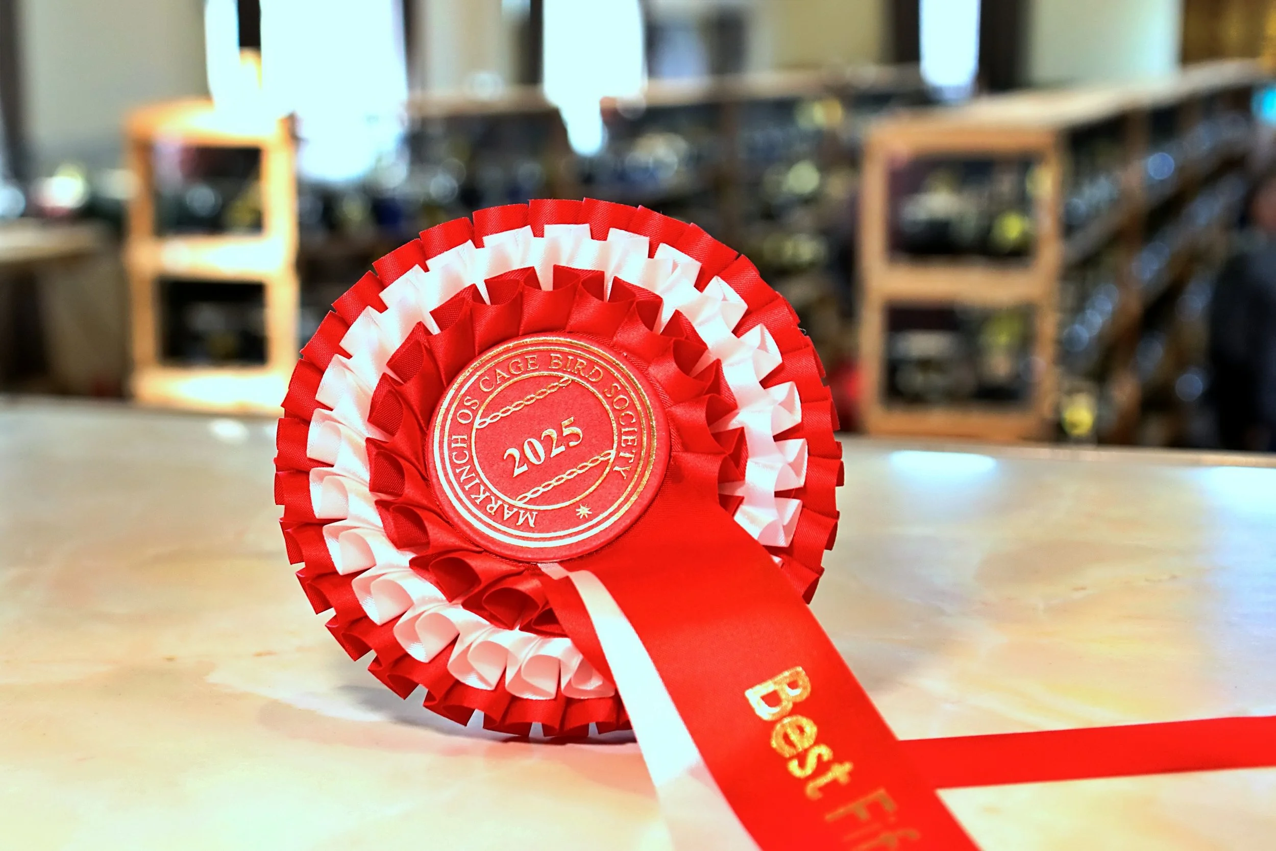 20251102 123558 Markinch CBS  0431.JPG