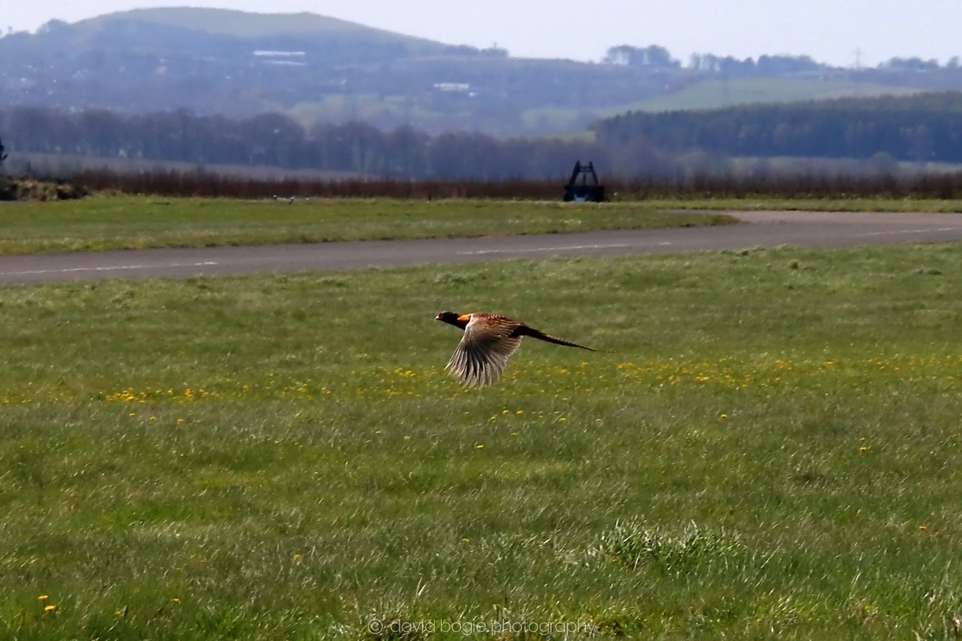 YEAR20230420 120643 Fife Airport 00206.jpg