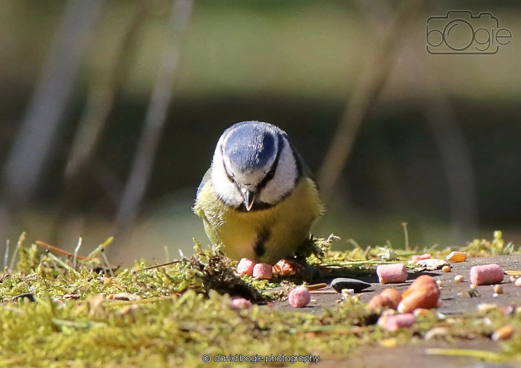 20260402 123652 Ravenscraig 0455.jpg