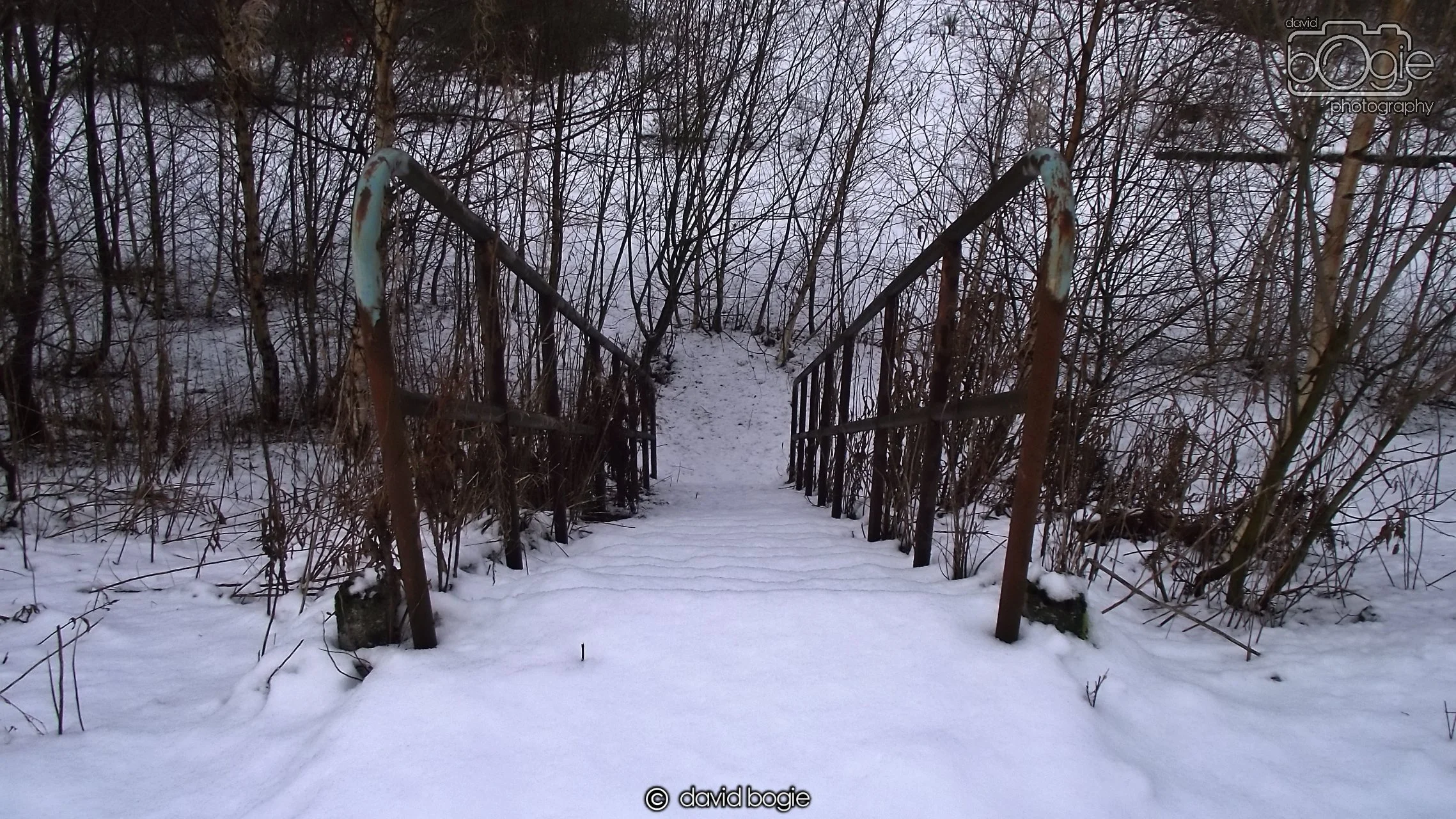 20171227 Westfield (78).JPG