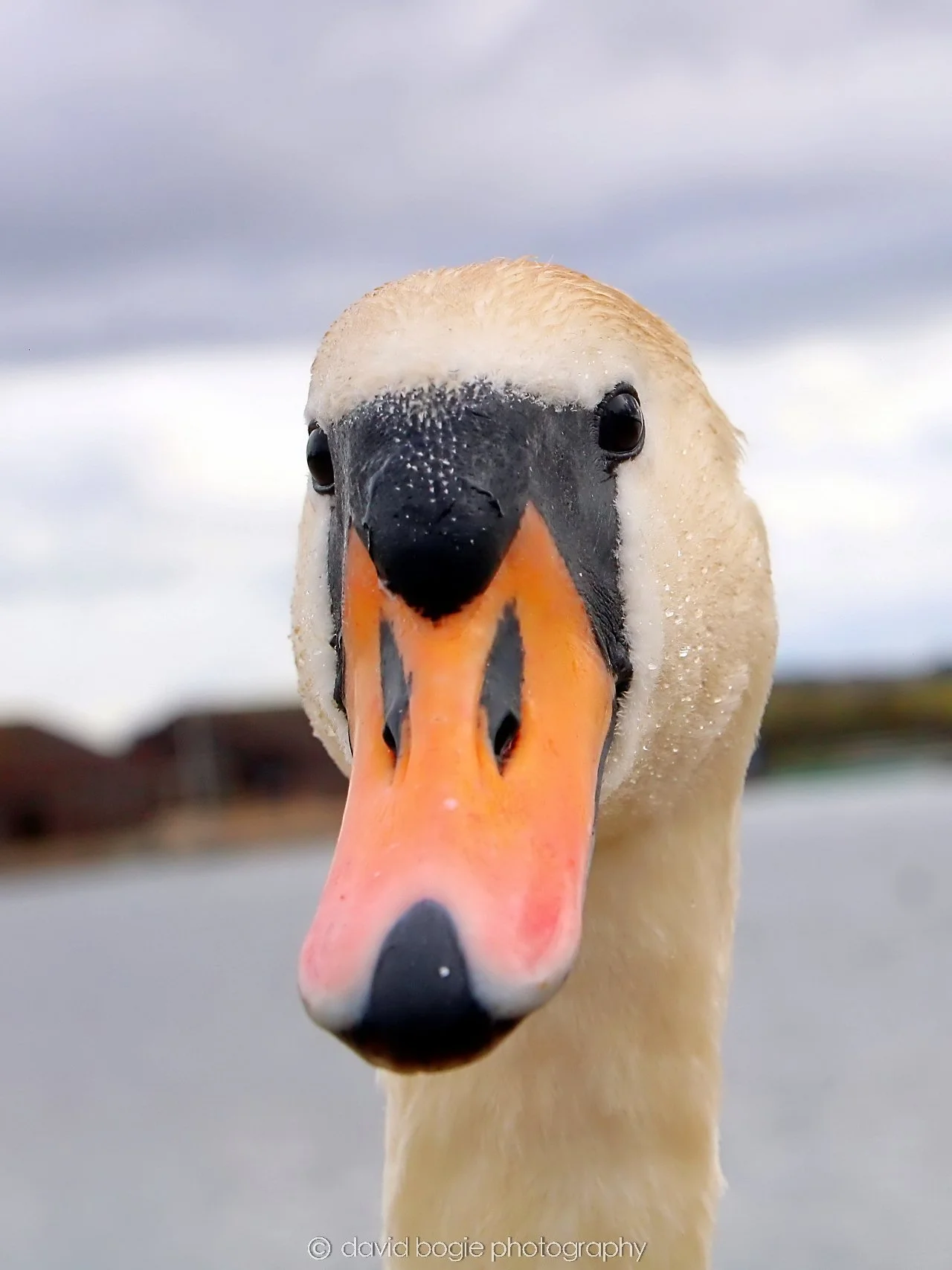 YEAR20240316 145322 Lochore Meadows 0022.jpg