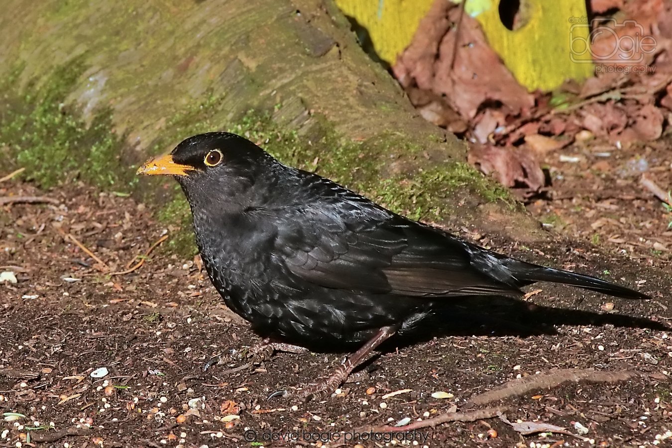 20260128 125059 Dunnikier 0073.jpg