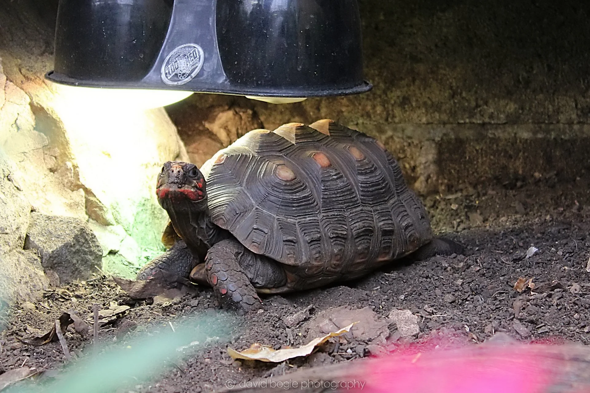 20191019 132837 Butterfly World 0050.jpg