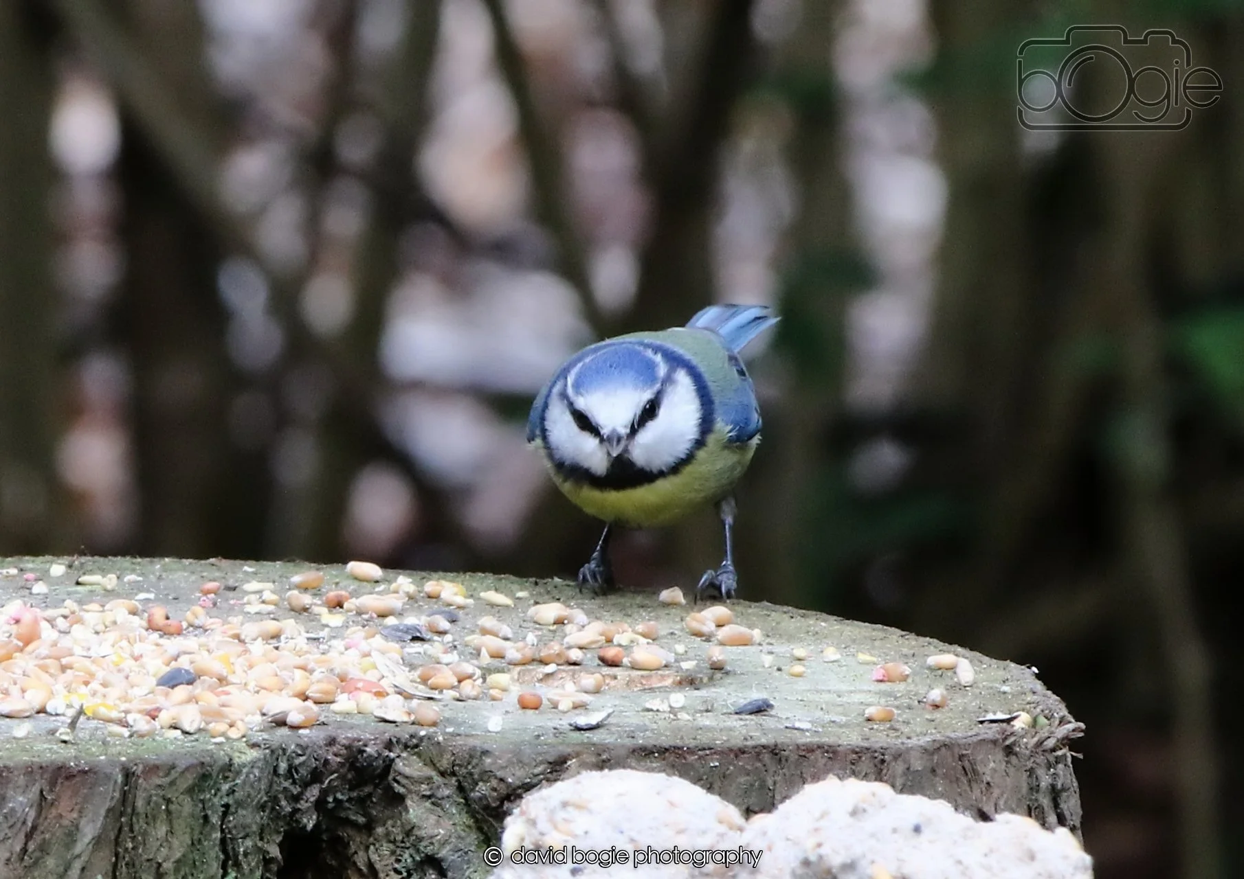 20260403 125309 Dunnikier 0248.jpg