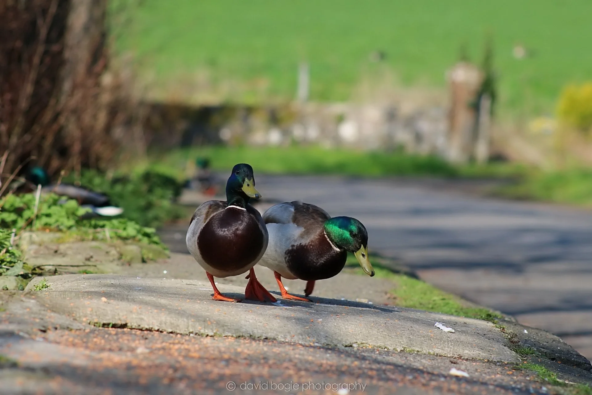 20190411 111527 Otterston 0014.jpg