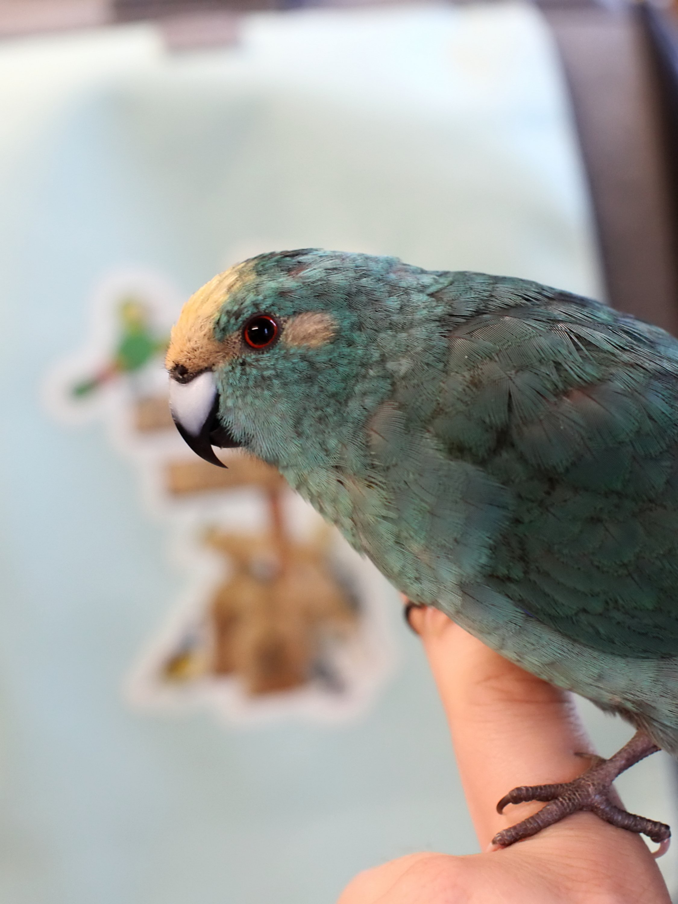 20251206 122709 K&S 0021.JPG