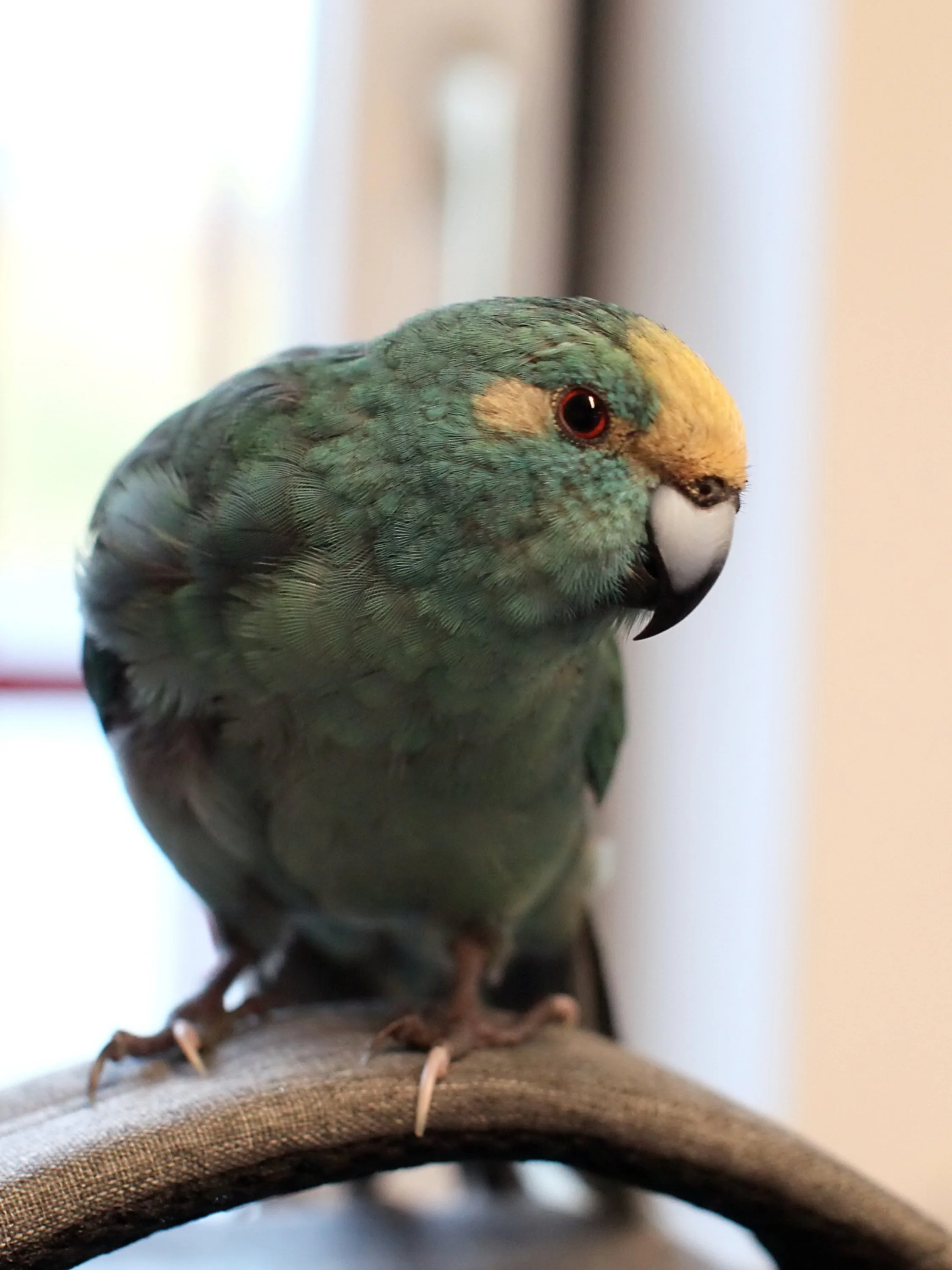 20251206 122934 K&S 0031.JPG