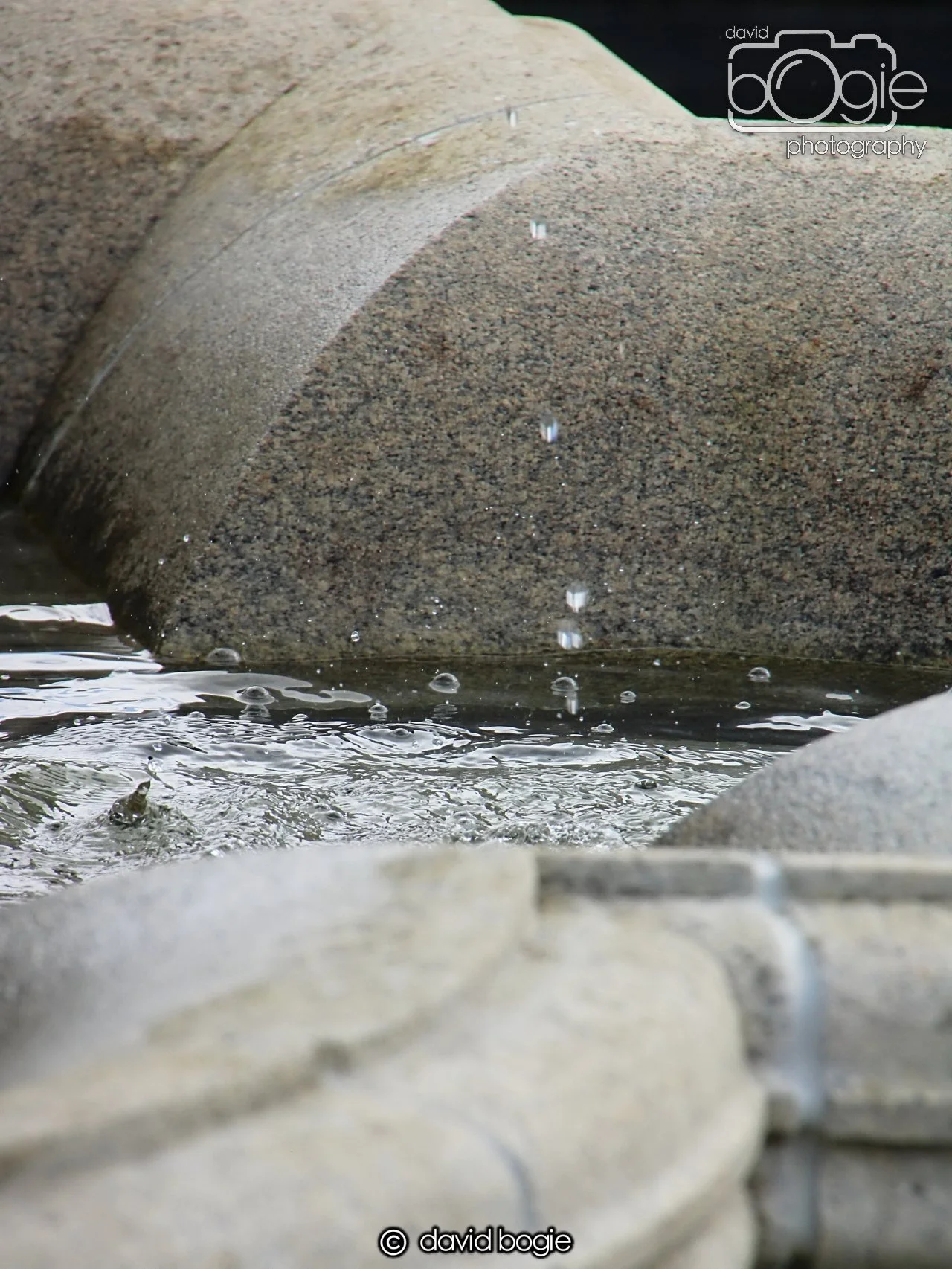 20240423 111549 Beveridge 0023.JPG