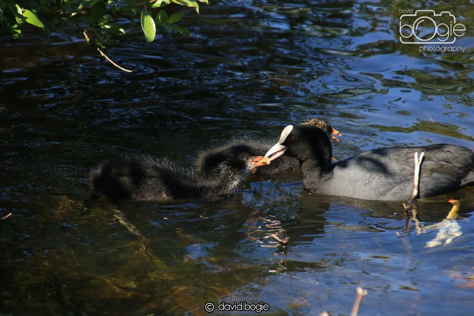 20250517 124422 Beveridge Park 0553.JPG