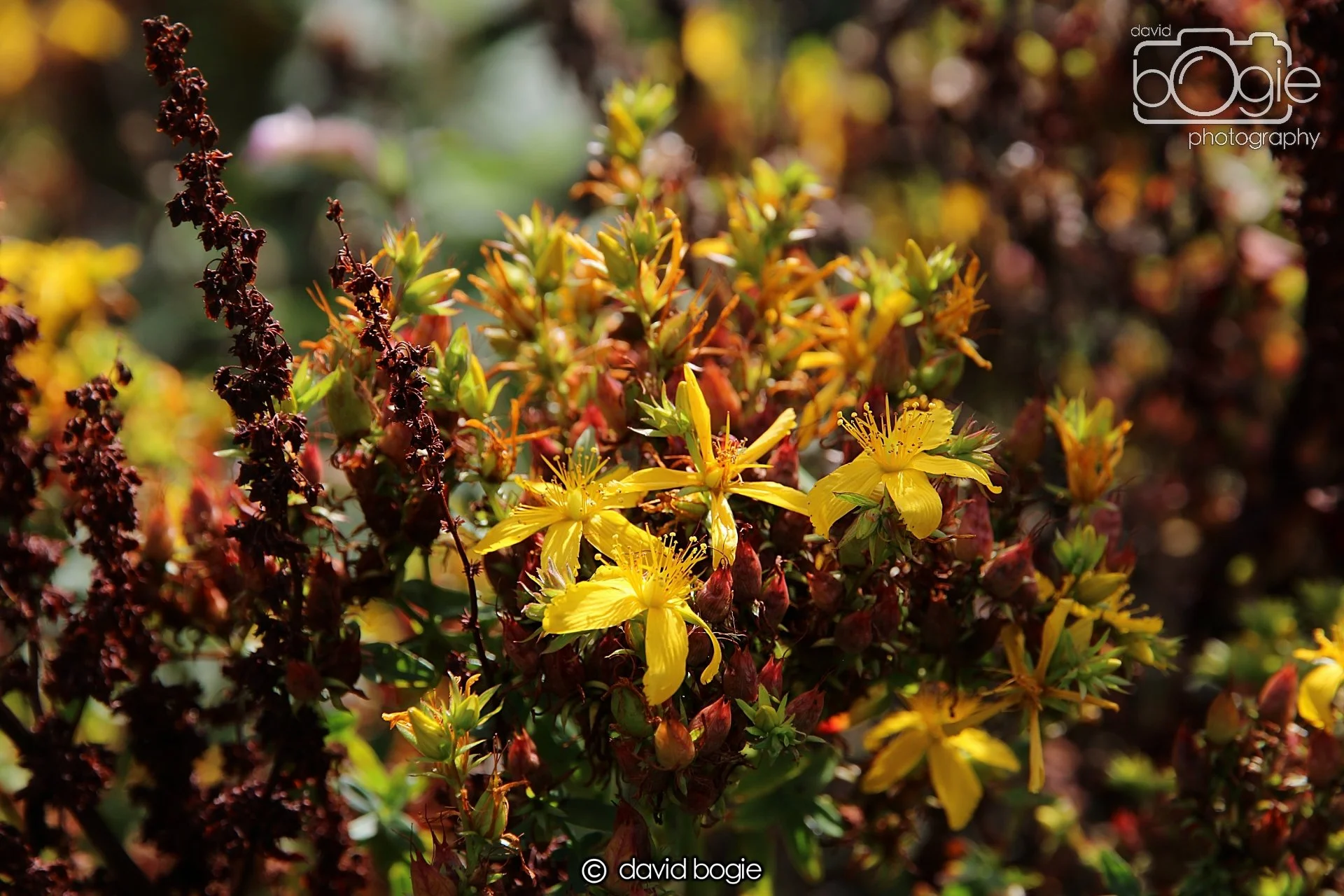 20220926 Beveridge Park9 .JPG