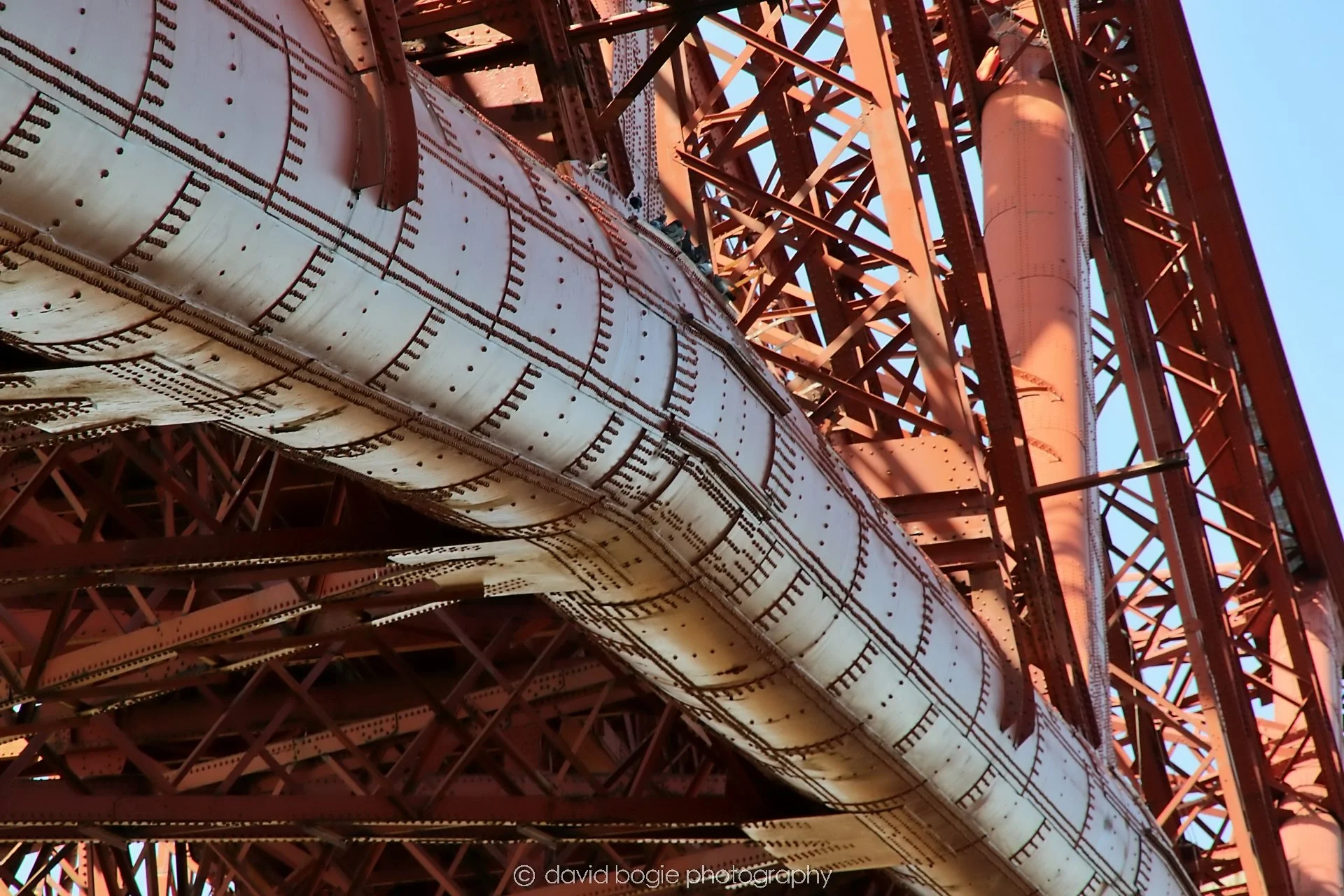 YEAR20250802 142308 Forth Bridge 0127.jpg