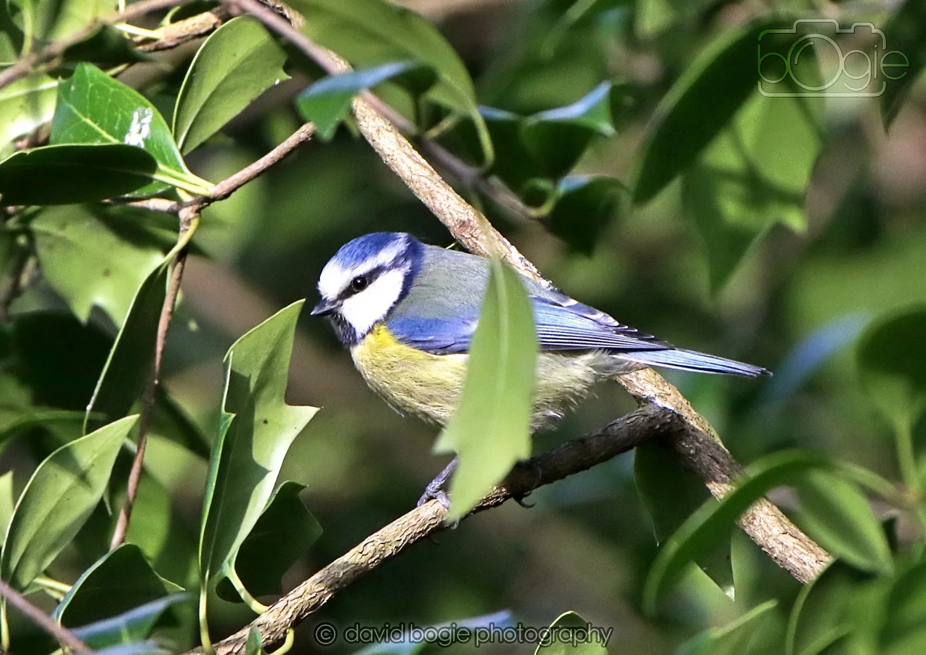 20260322 151419 Dunnikier 0322b.jpg