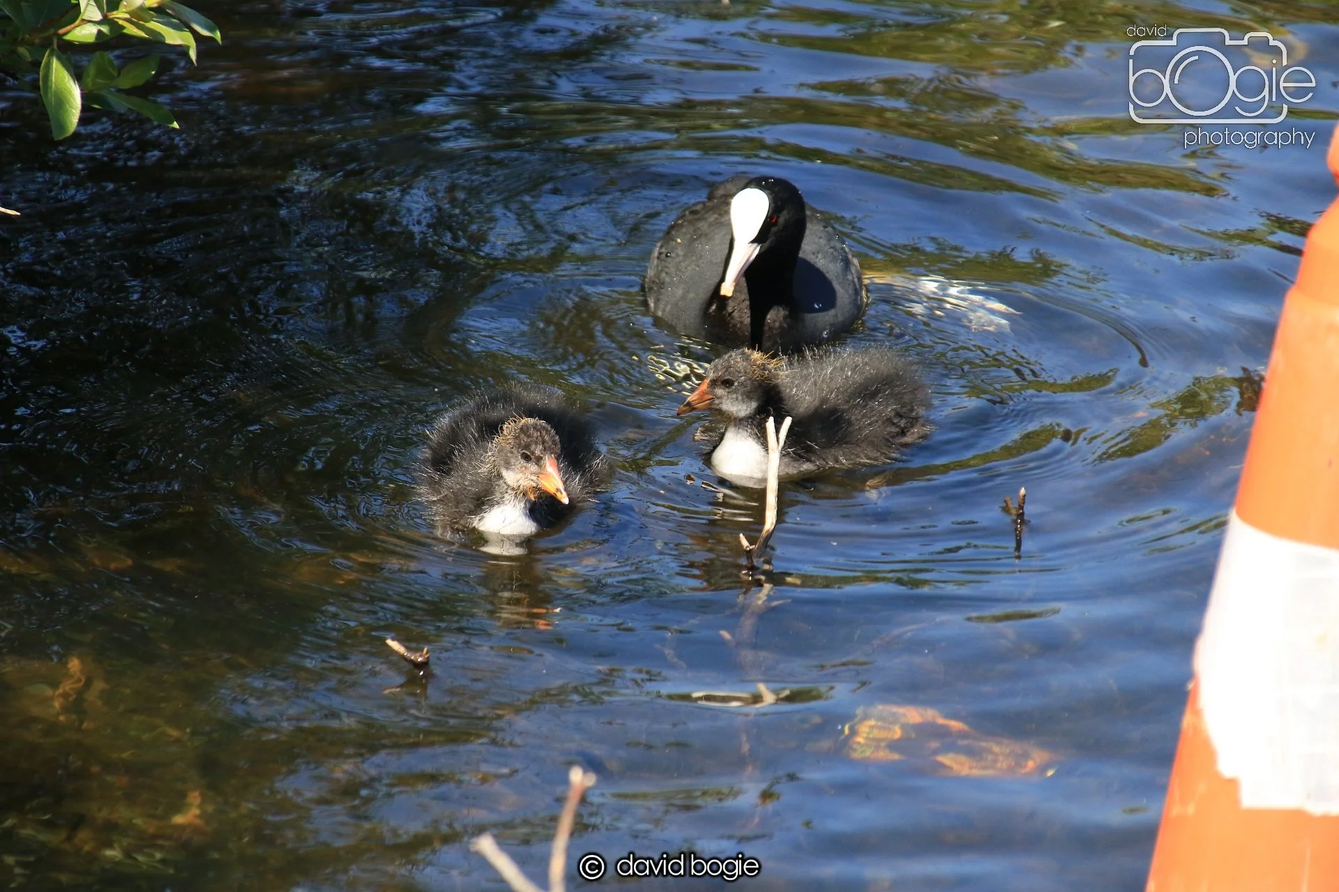 20250517 124237 Beveridge Park 0537.JPG