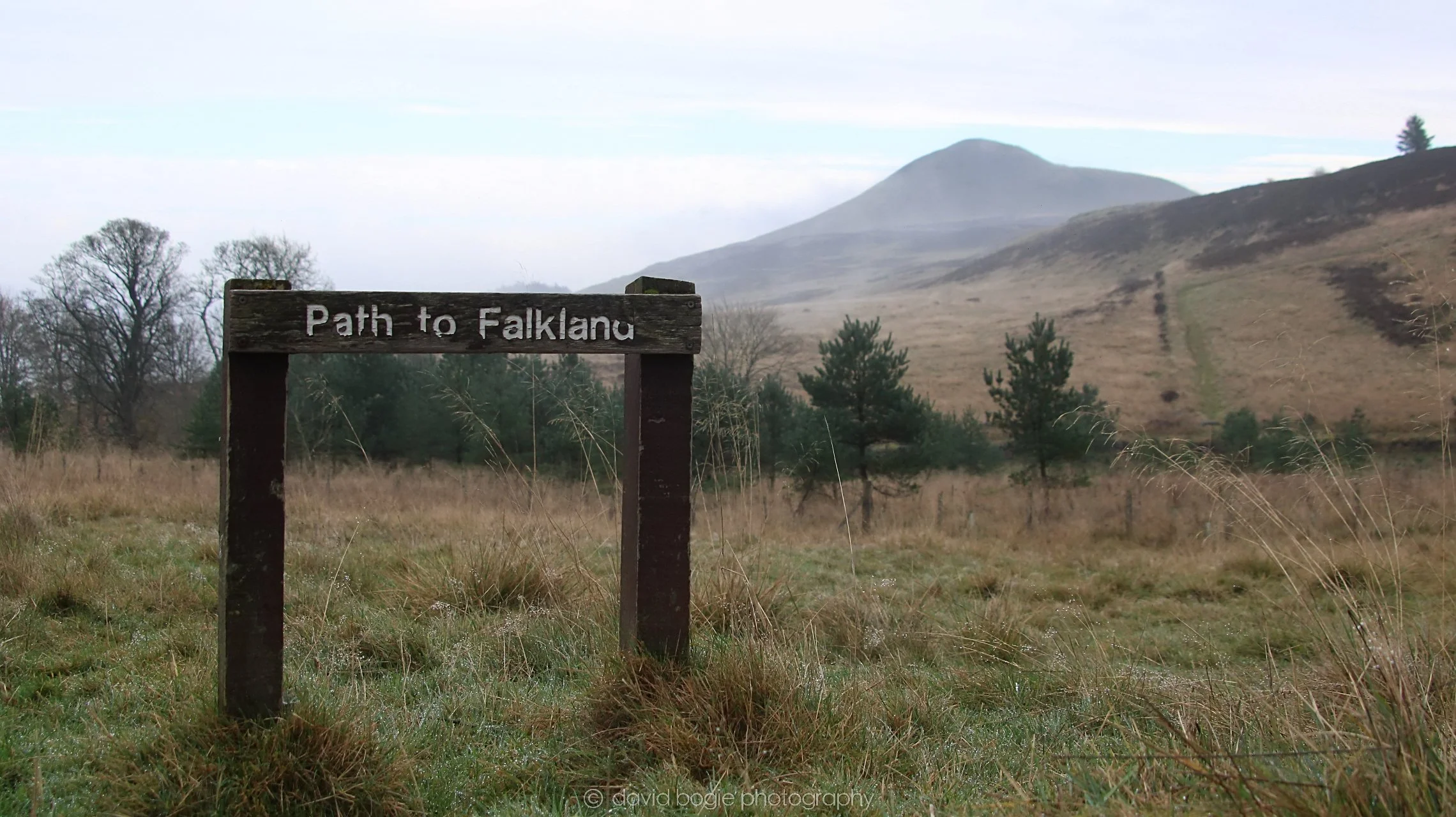 YEAR20221114 Falkland 18.jpg
