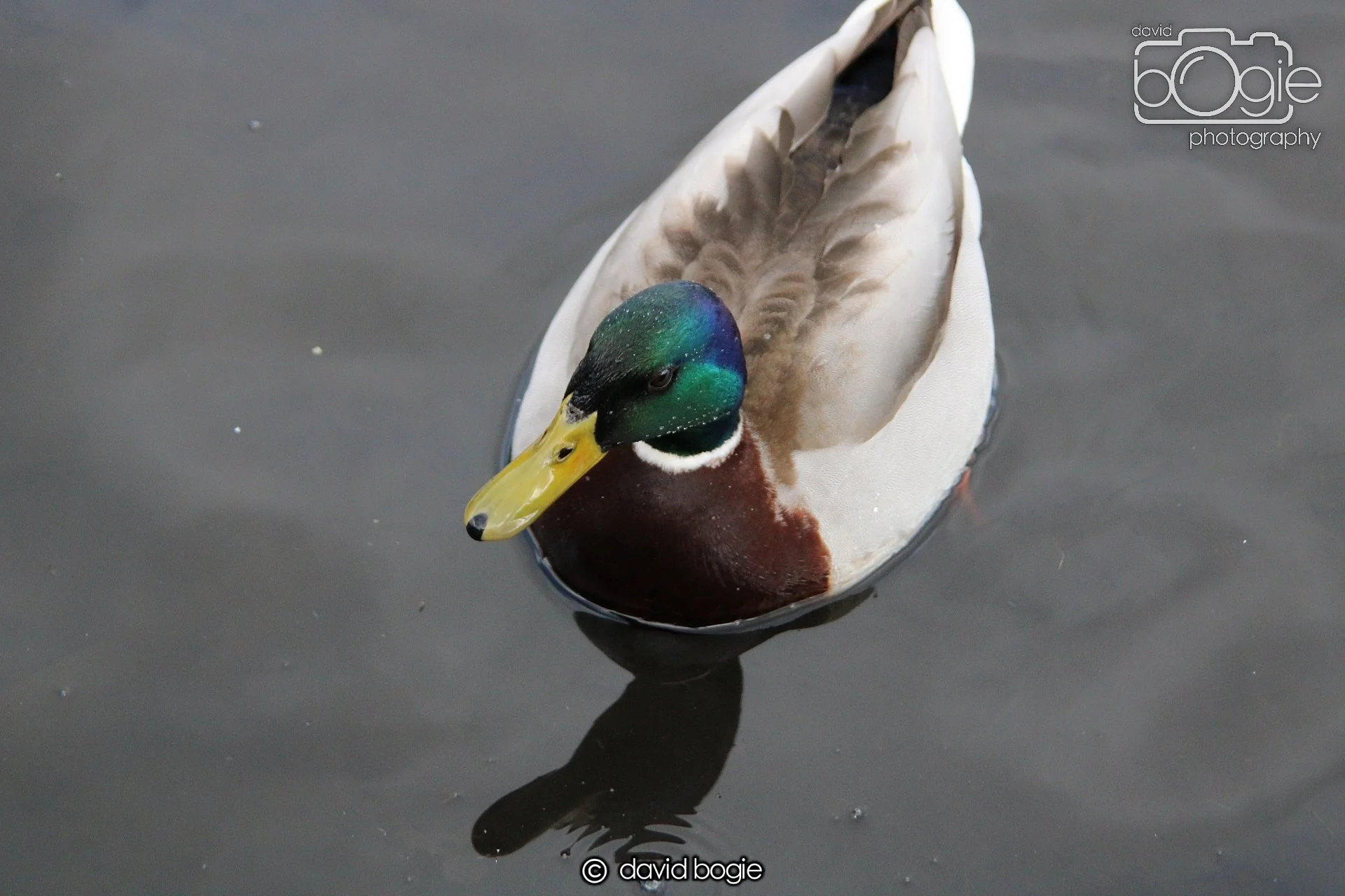 20210410 Beveridge (16) .jpg