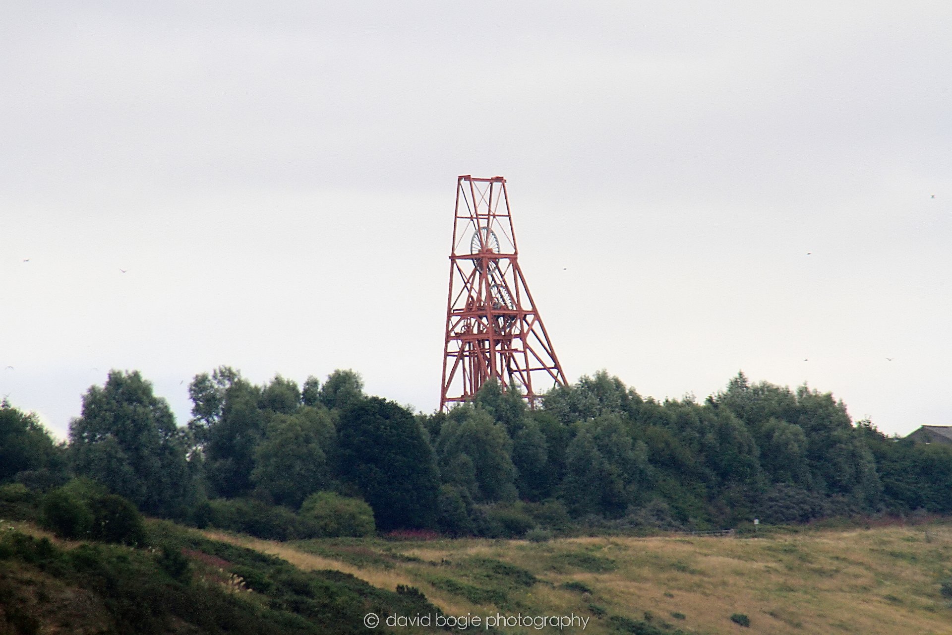 YEAR20230810 Kirkcaldy 125818 0102.jpg