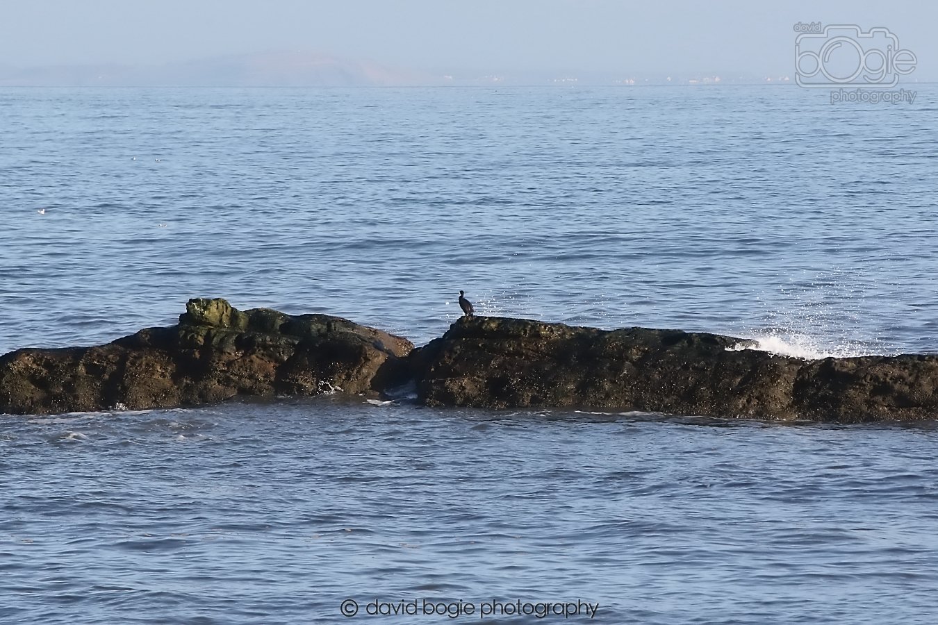 20260119 124144 Kirkcaldy 0009.jpg