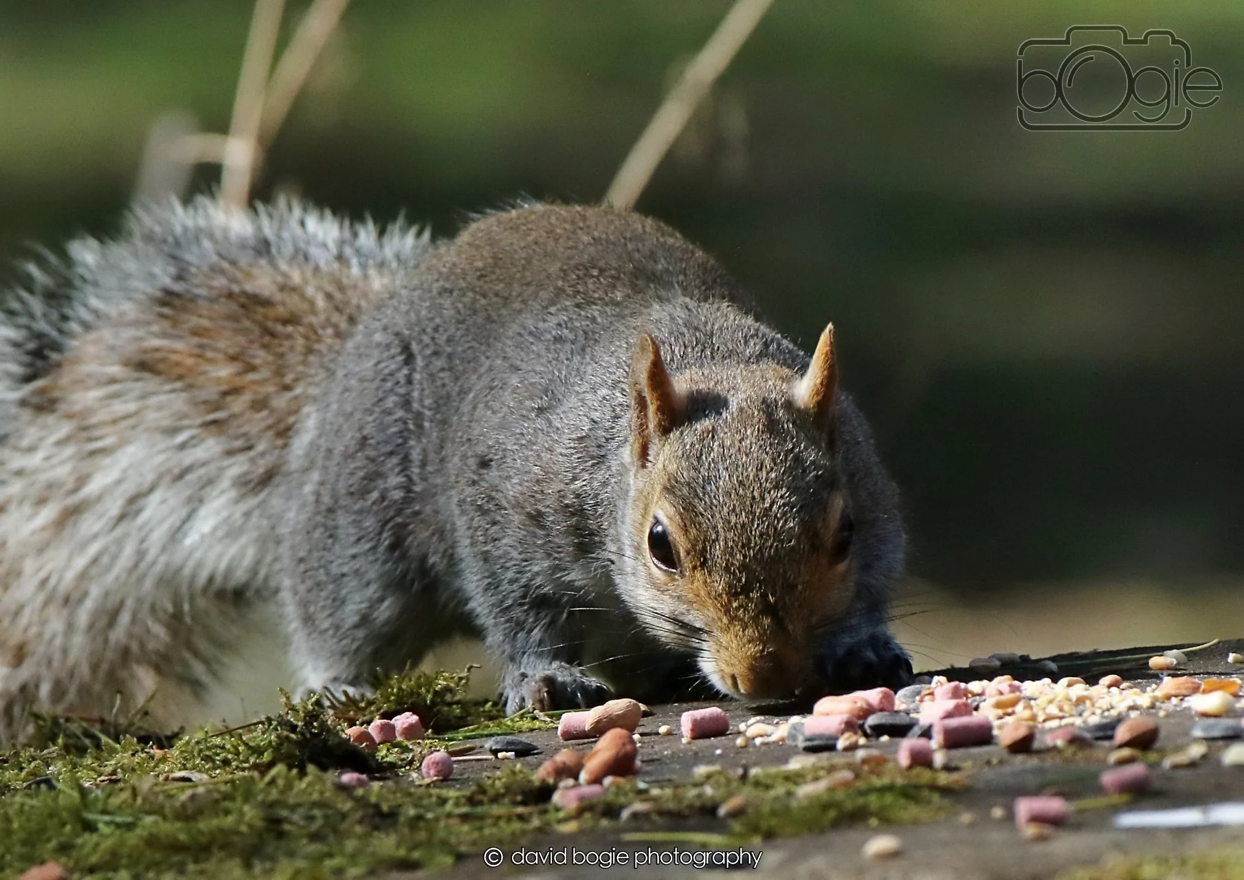 20260402 122736 Ravenscraig 0347.jpg