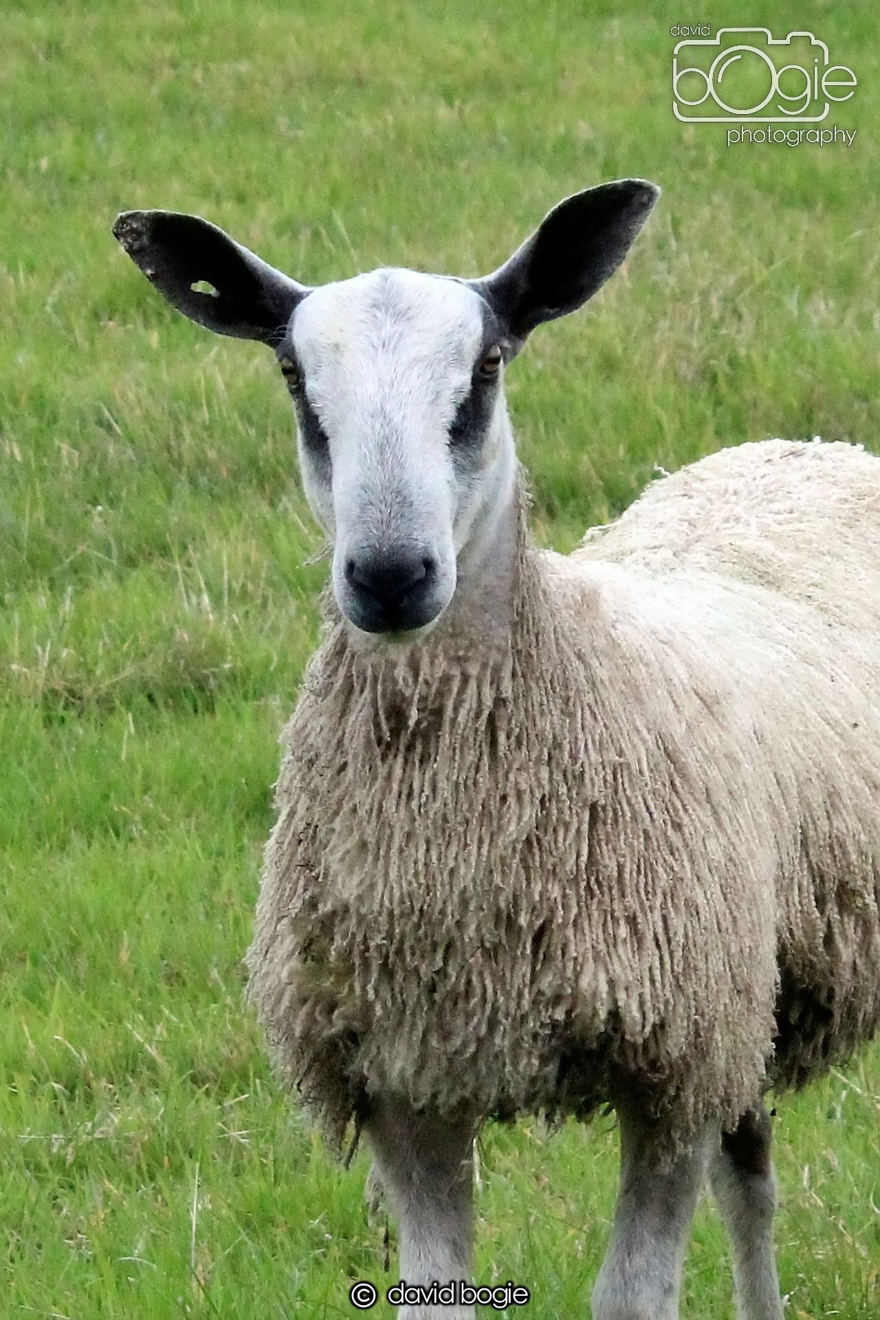 20211205 202732 Kinglassie 0008.JPG