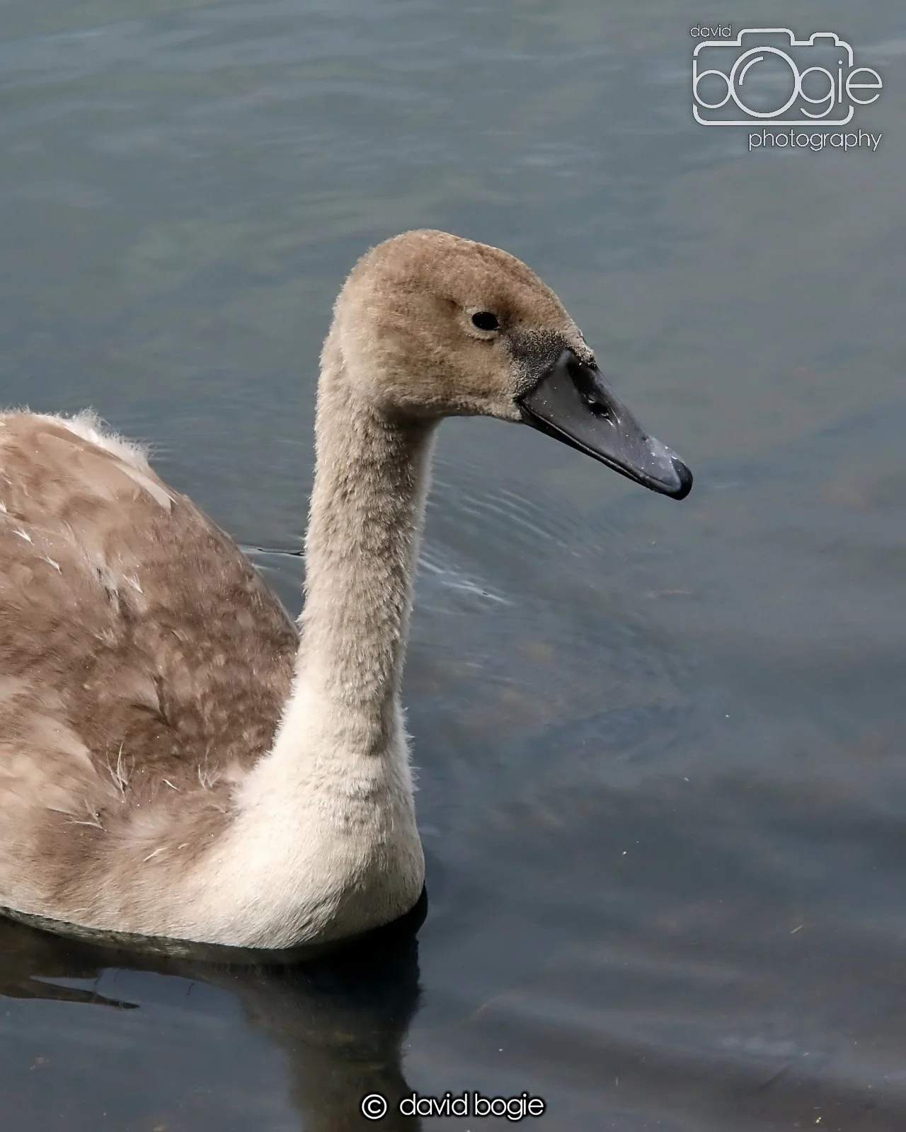 20250721 124011 Beveridge Park 0219.JPG