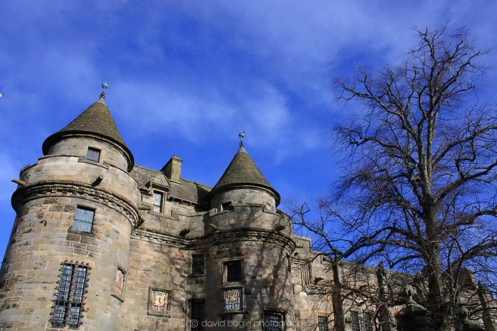 20190211 113136 Falkland 0003.jpg