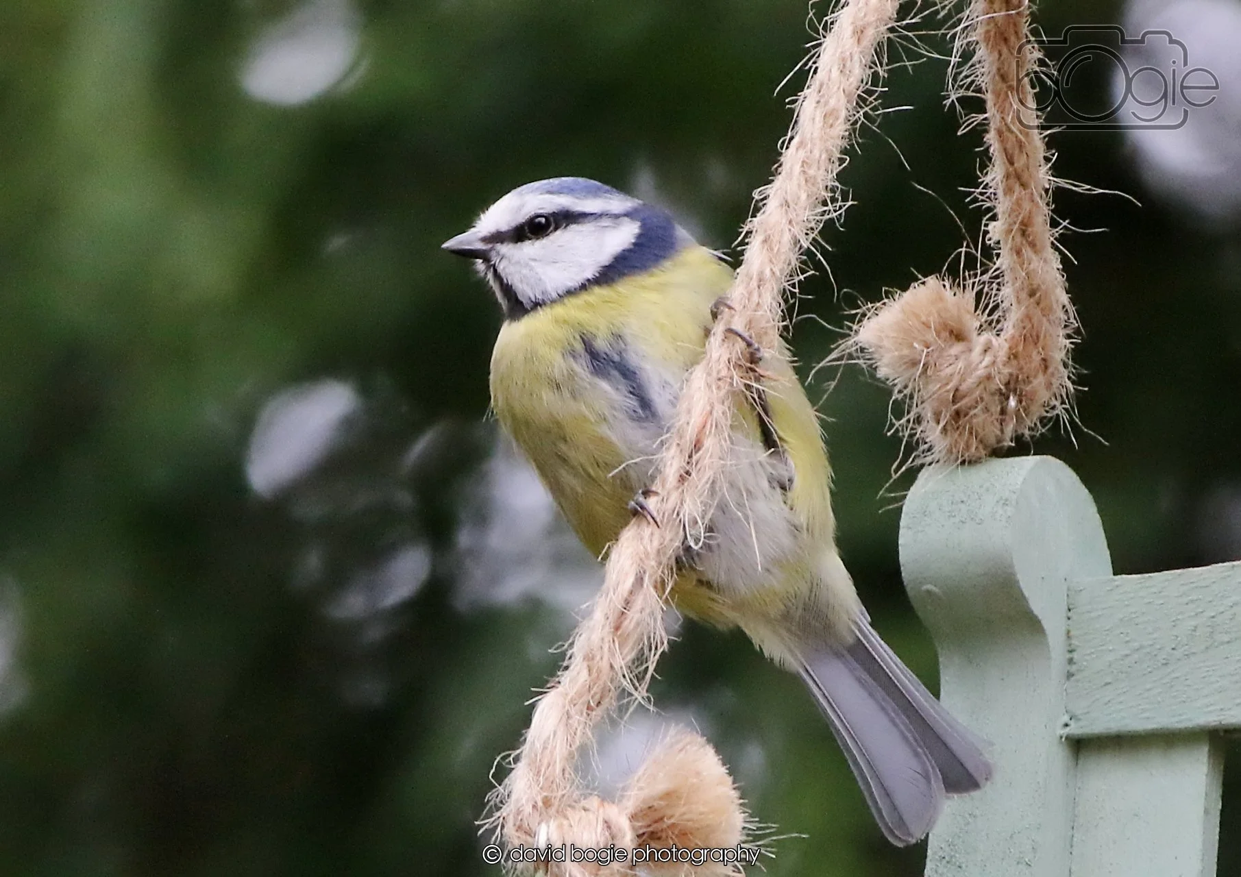 20260403 130305 Dunnikier 0332.jpg