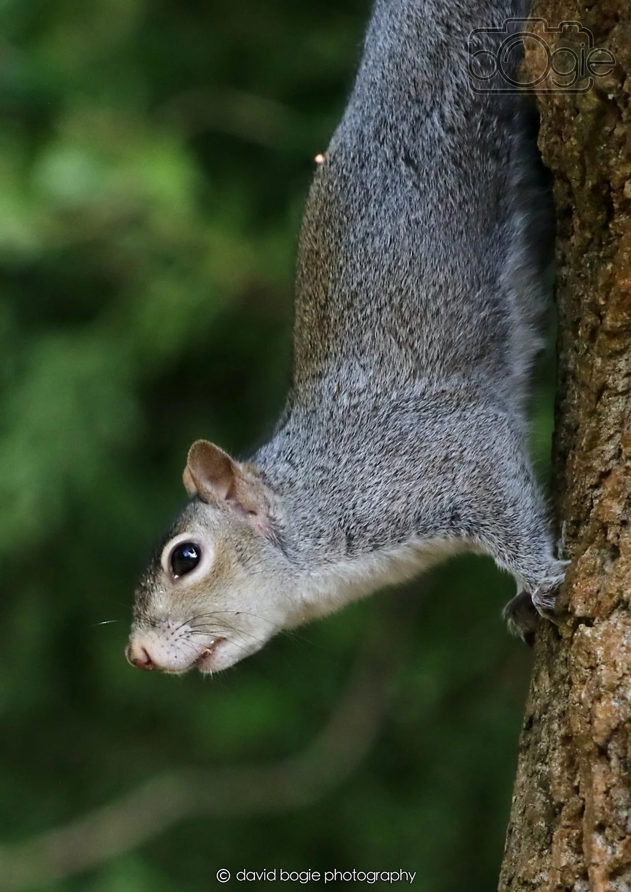 20260403 122212 Dunnikier 0185.jpg