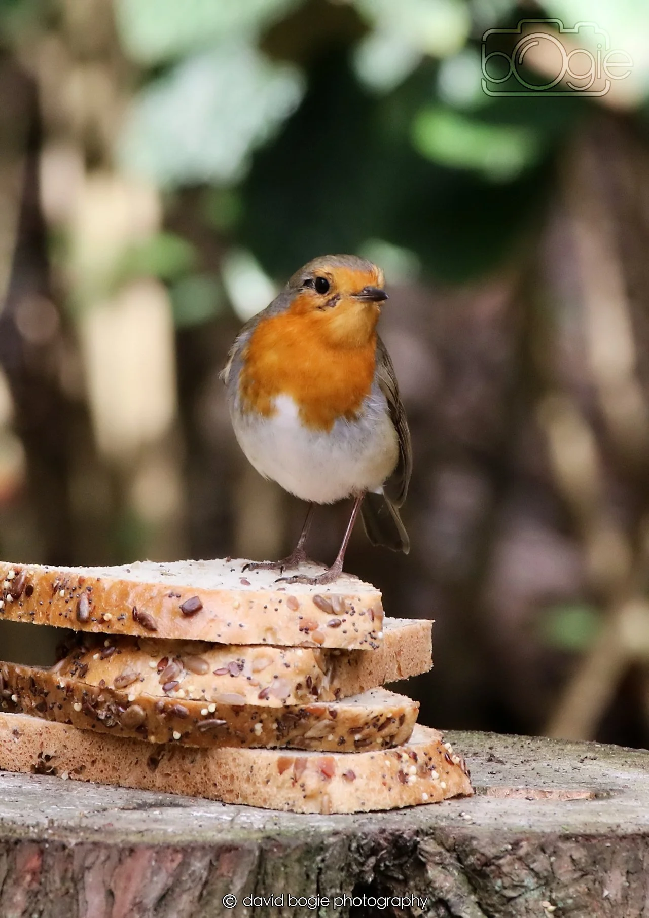 20260330 111901 Dunnikier 0106.jpg