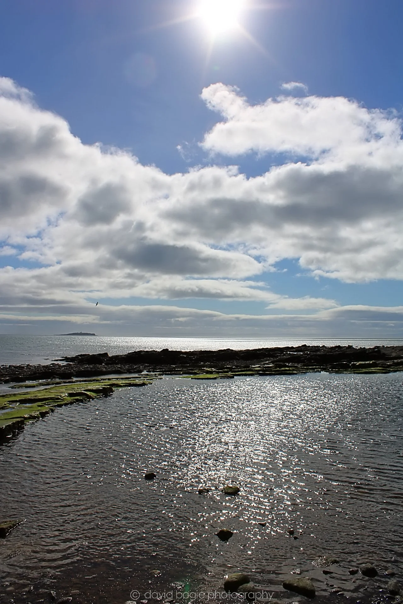 20190326 114544 Crail 0006.jpg