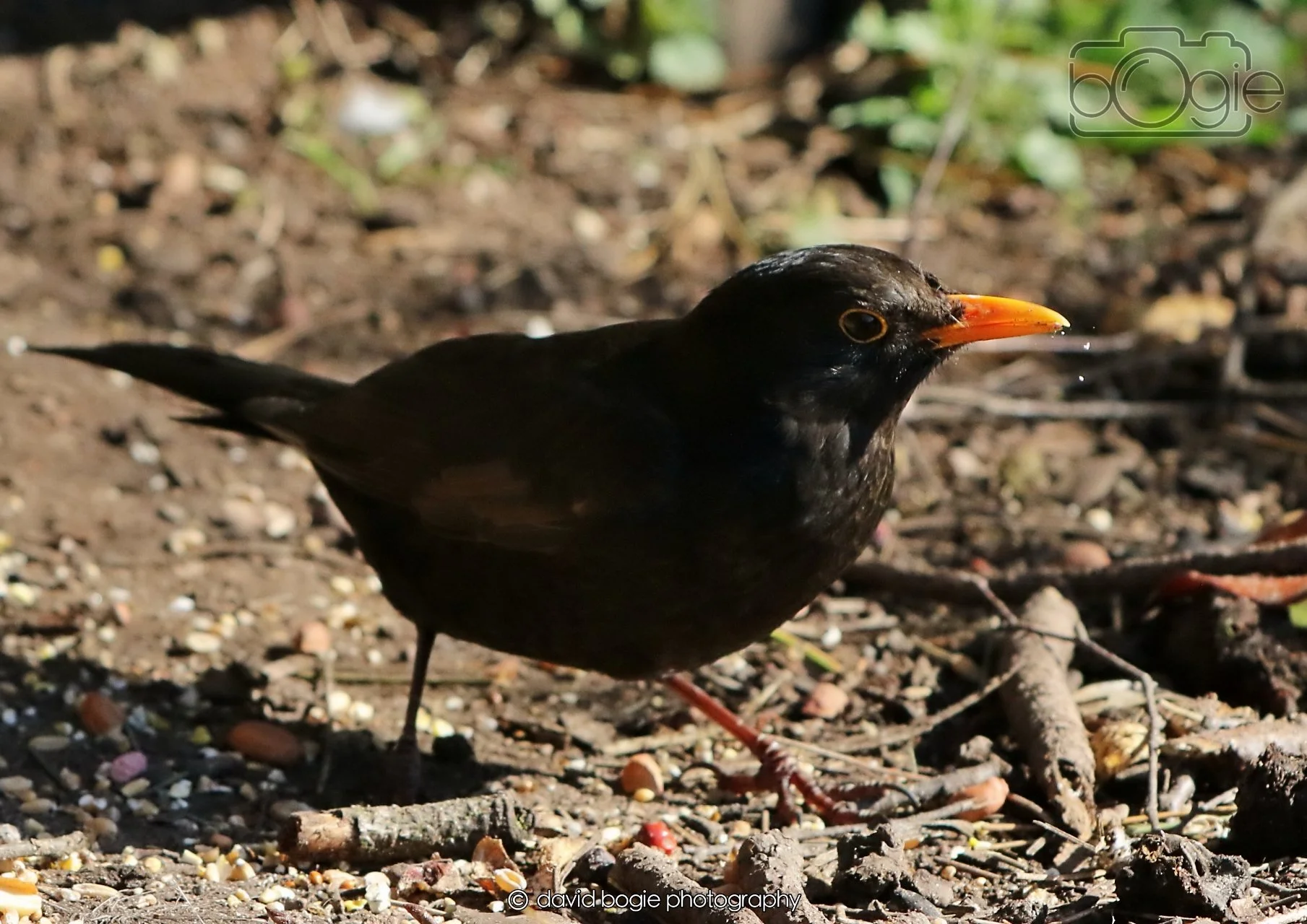 20260402 095027 Silverburn 0034.jpg