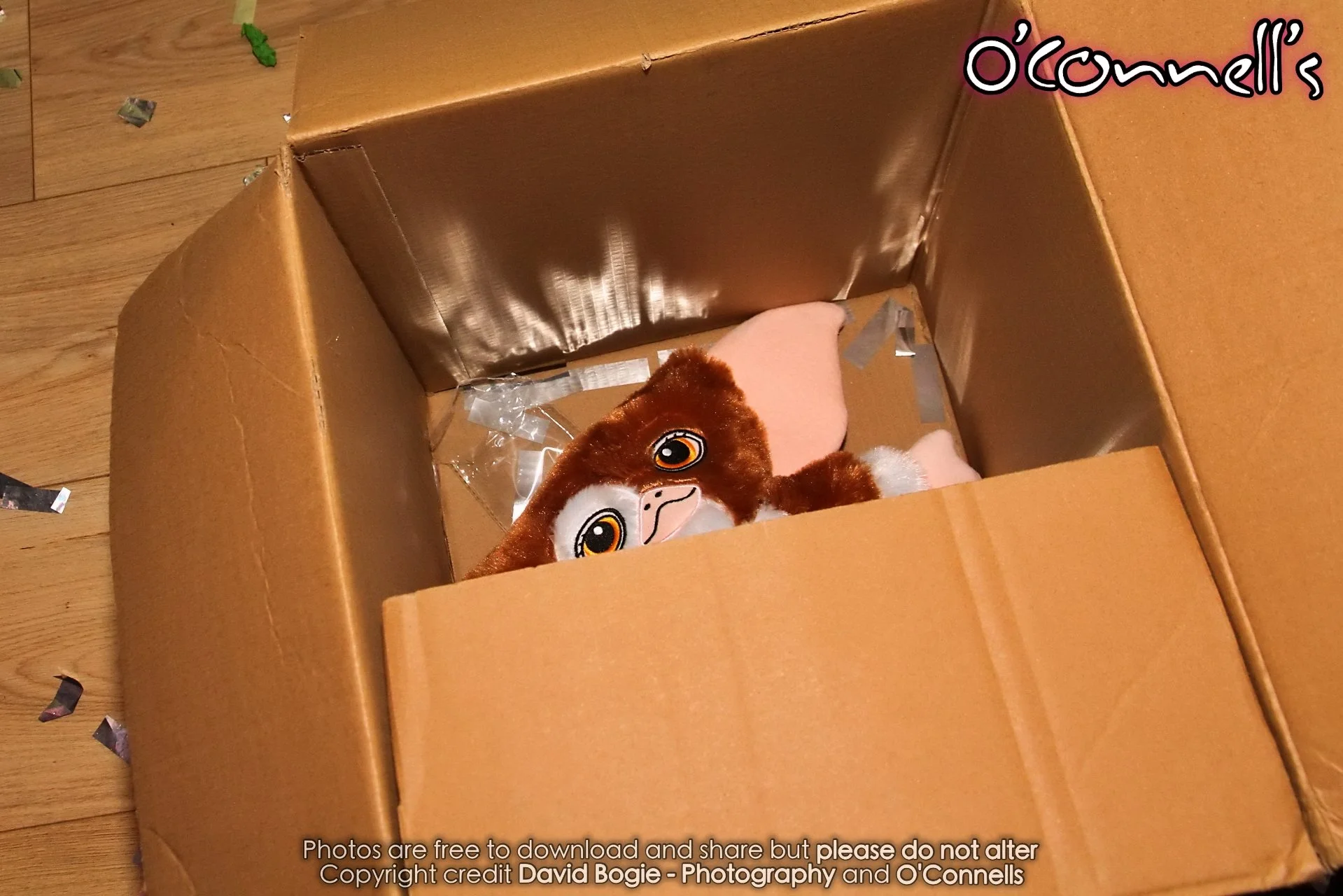 20251101 195230 Decadance 1502.JPG