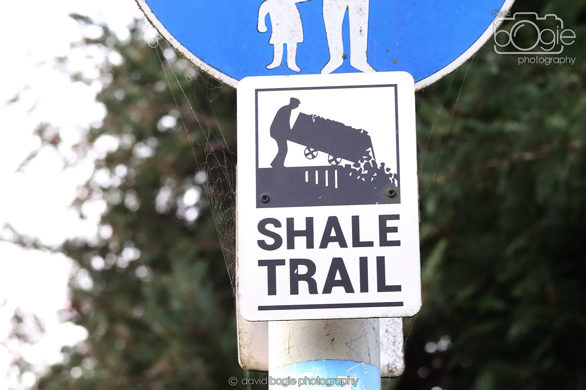 20251205 113357 East Calder 0028.JPG