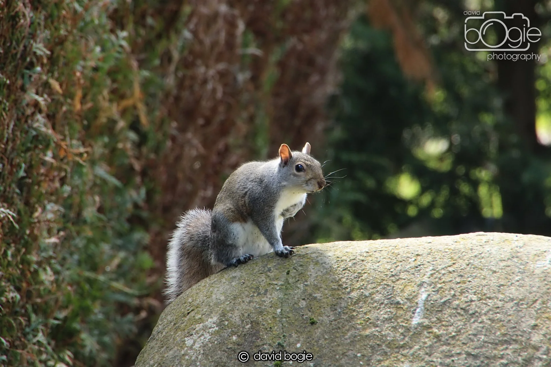 20240423 113143 Beveridge 0035.JPG