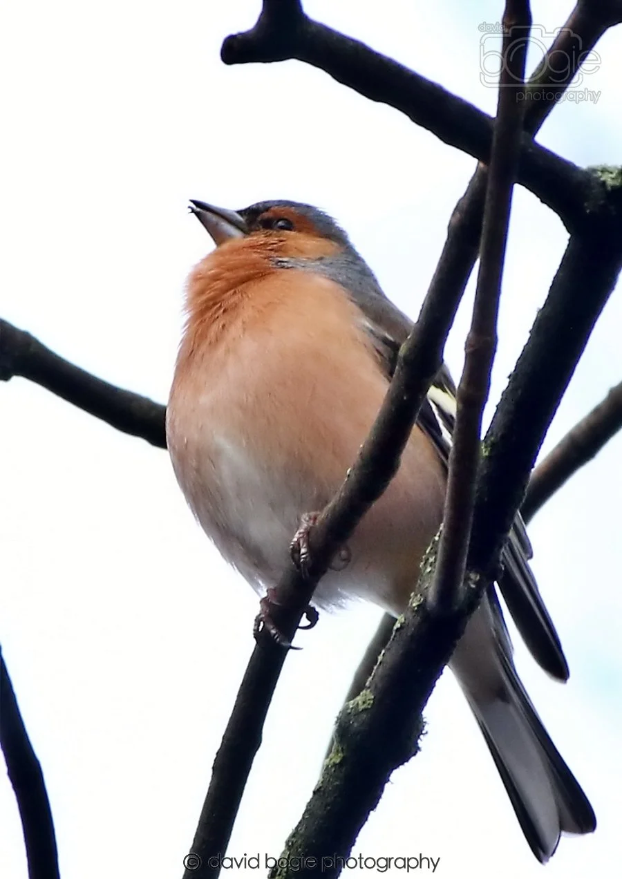 20260306 091502 Dunnikier 0093.jpg