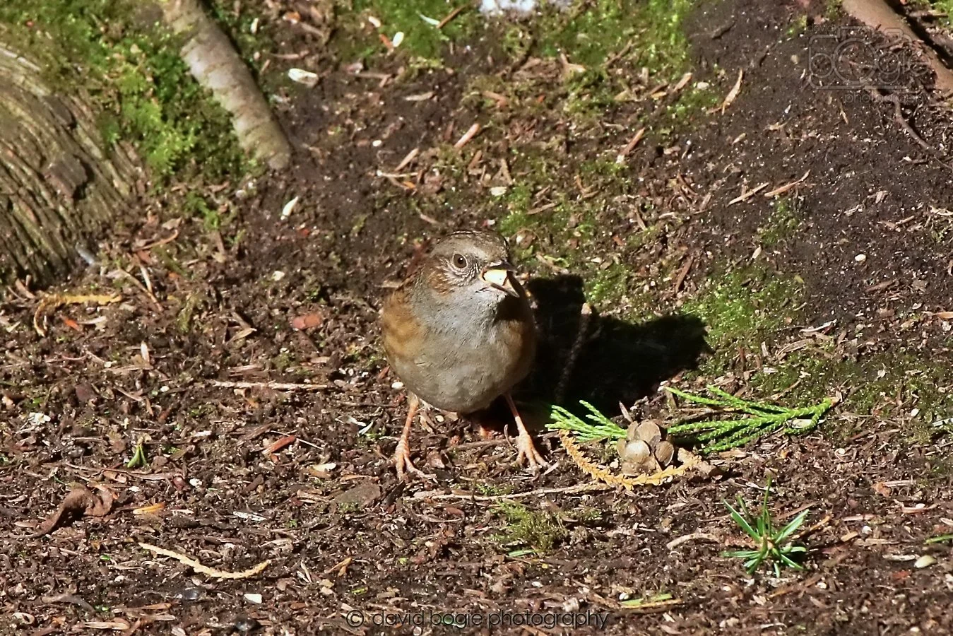 20260128 132021 Dunnikier 0165.jpg