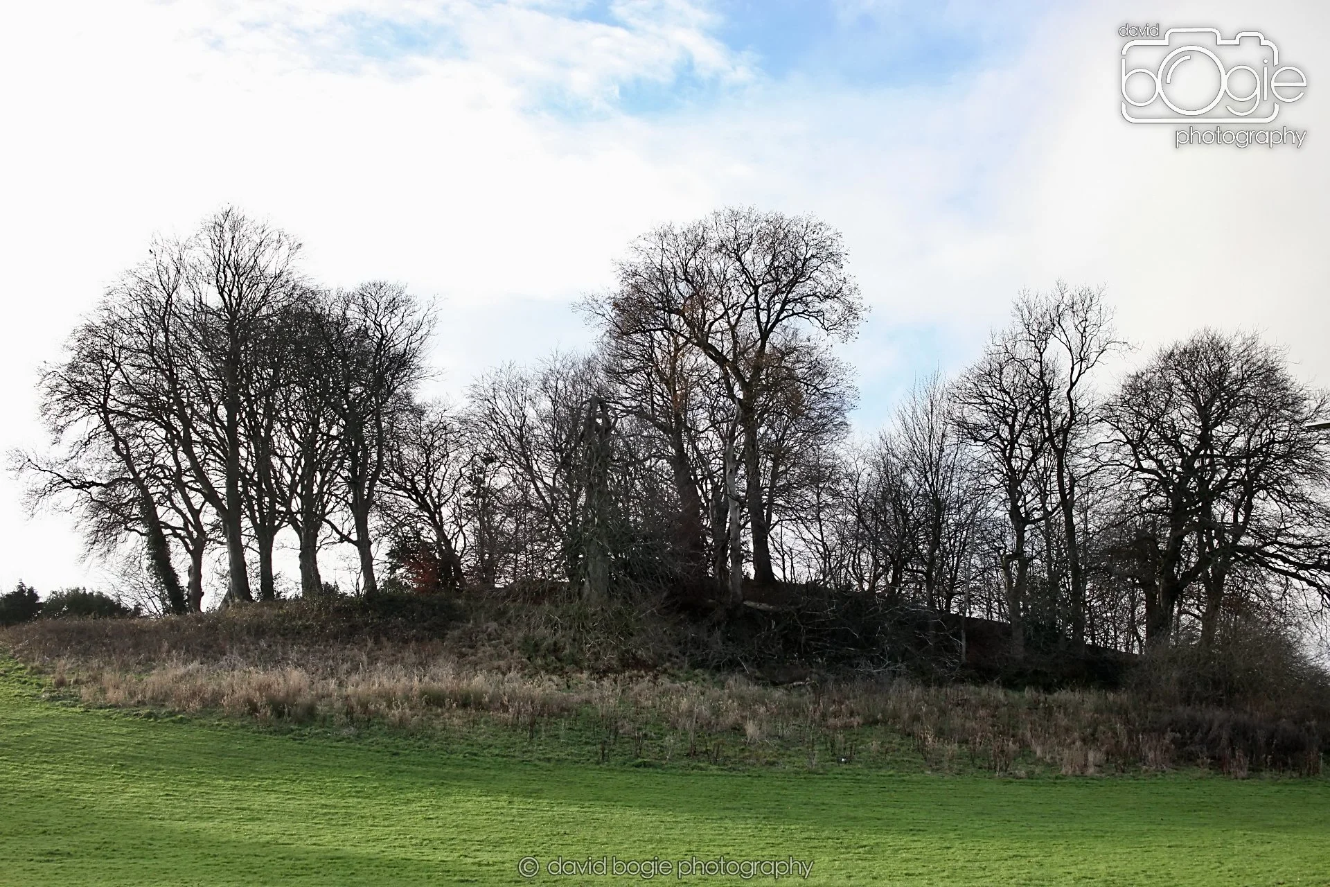 20251205 122736 East Calder 0033.JPG