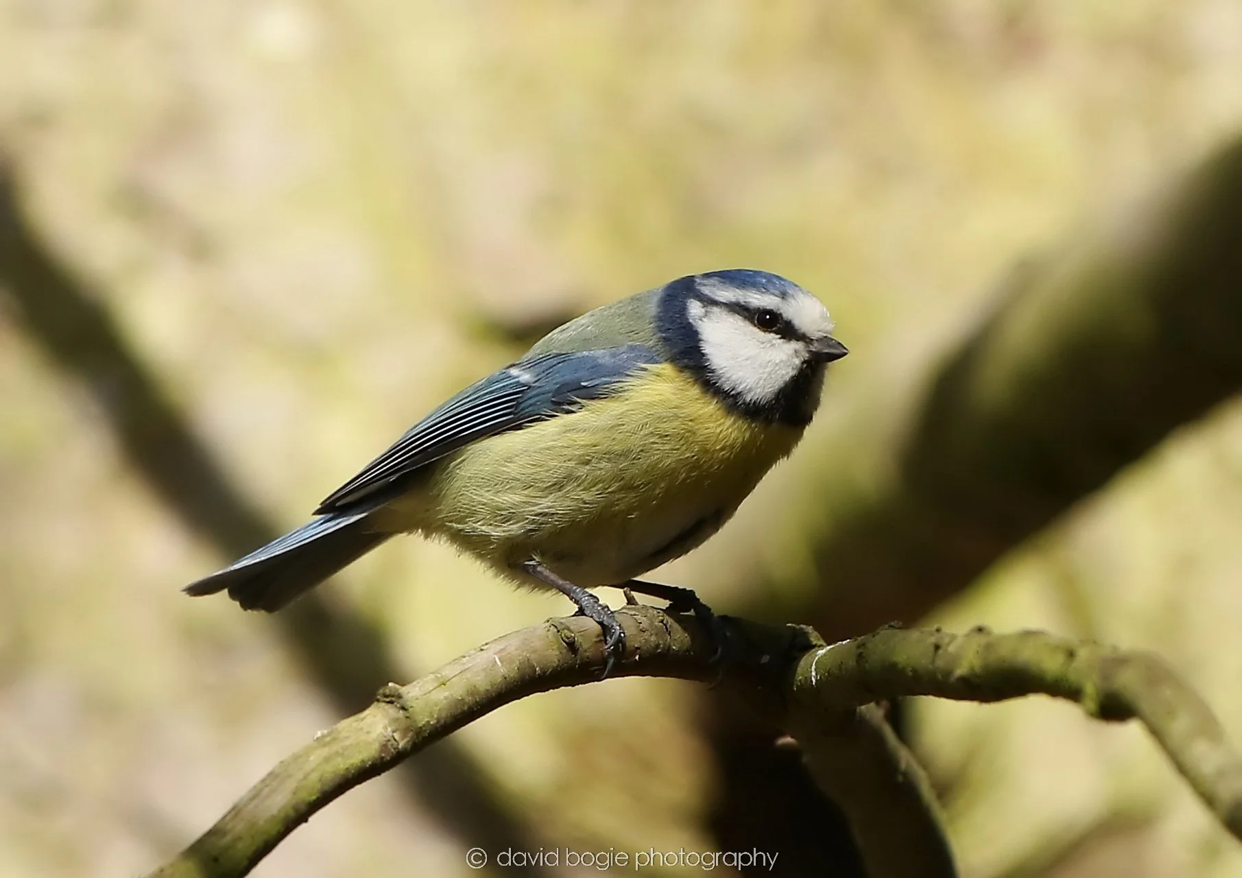 YEAR20260327 121742 Dunnikier 0009.jpg
