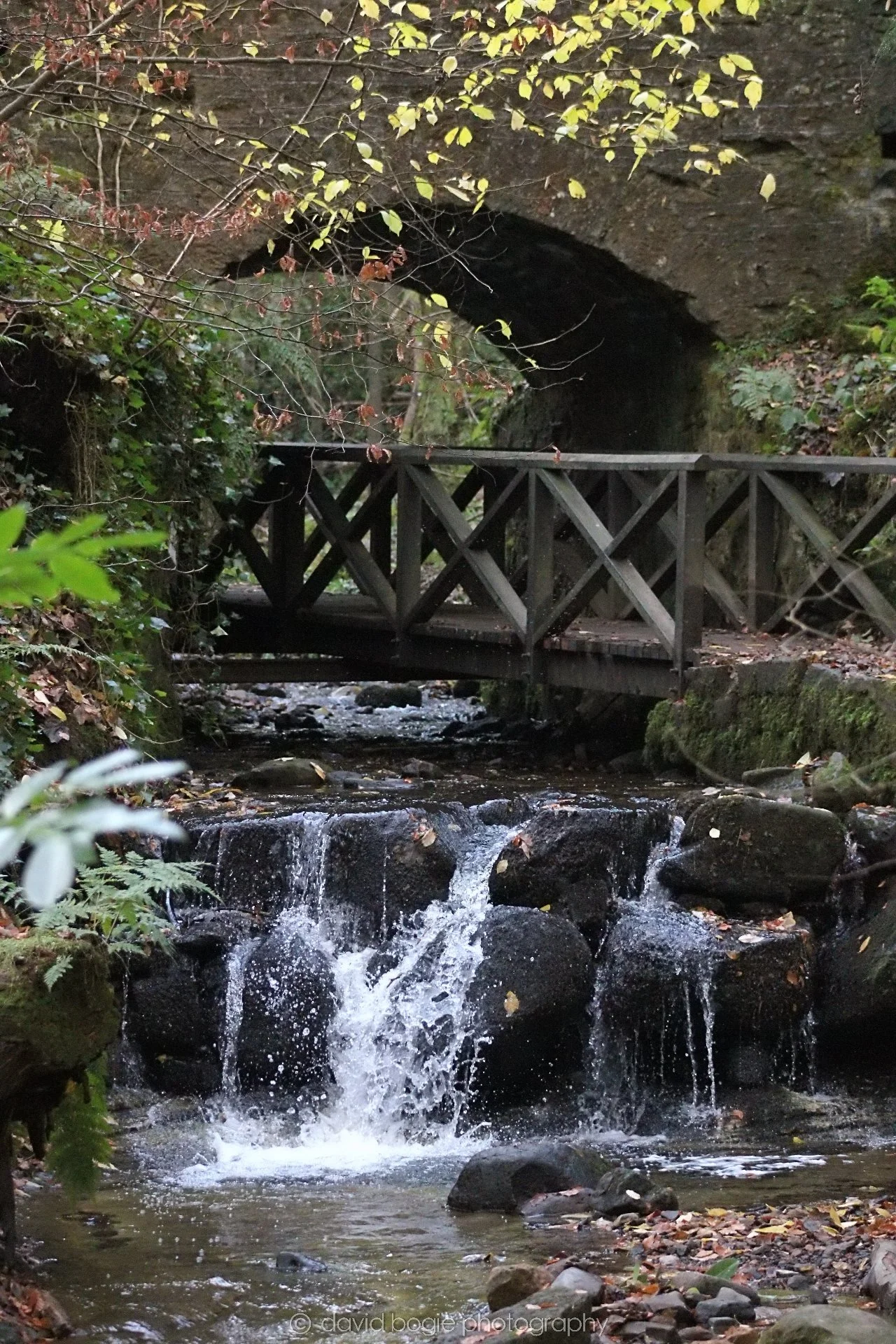 20191121 132135 Falkland 0012.jpg
