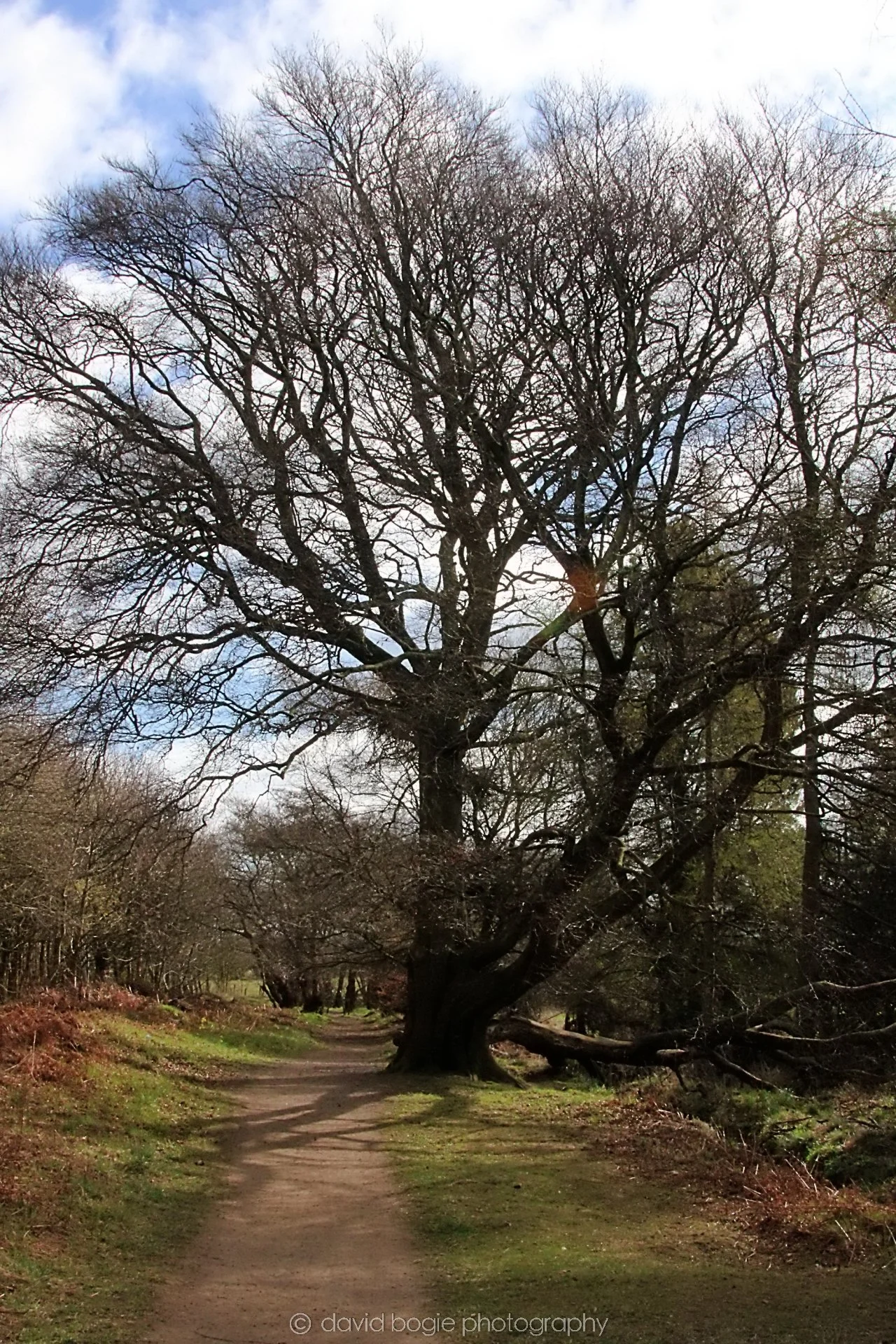20210405 Dunnikier  1 .jpg