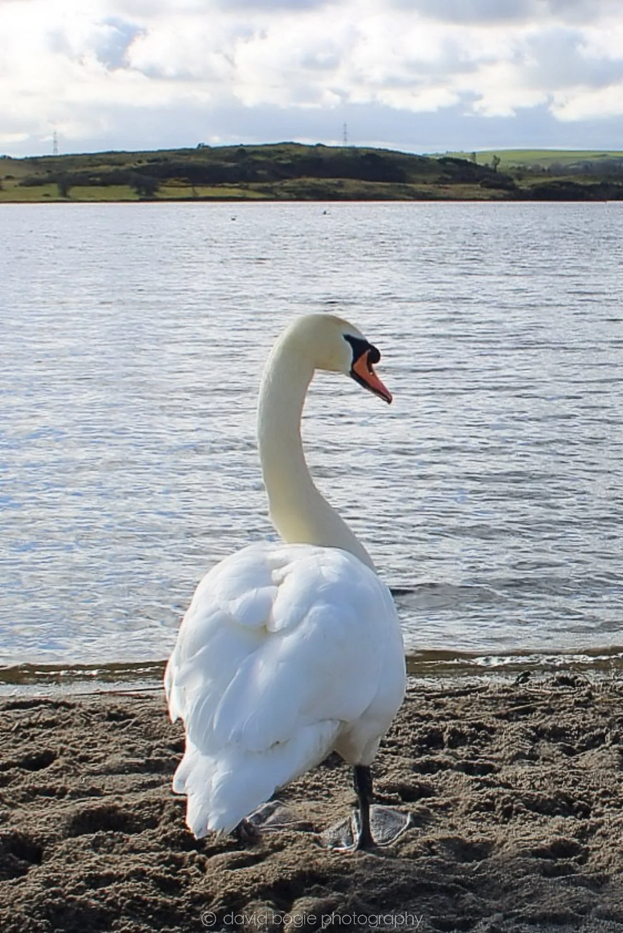 20190318 120427 Lochore 0005.jpg
