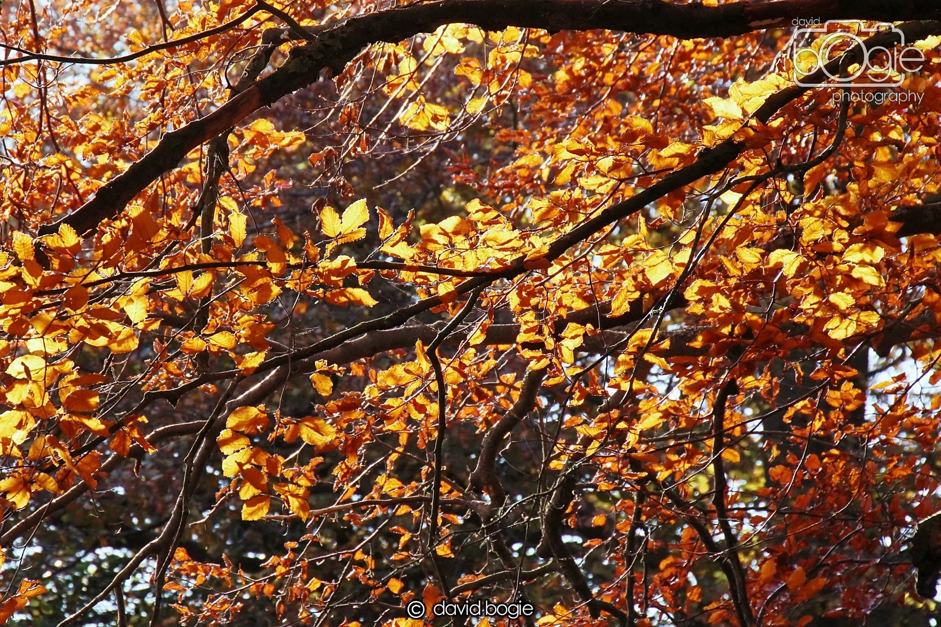 20231107 Beveridge Park 0348.jpg